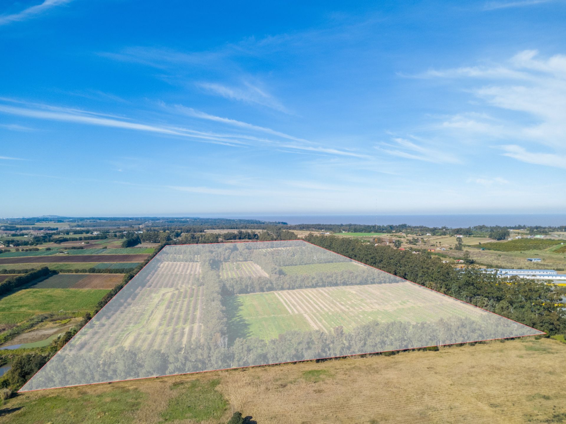 VENTA DE CHACRA 20 has EN PUNTA ESPINILLO - 2