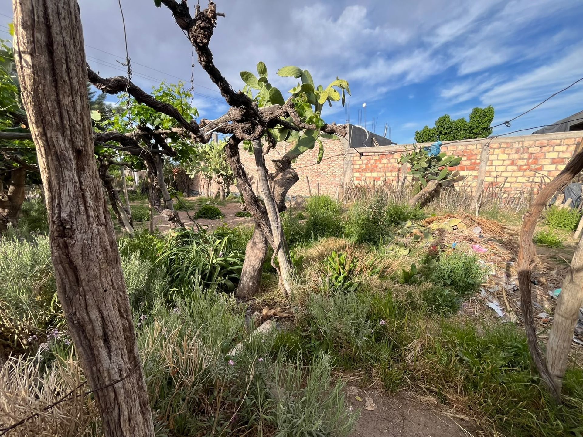 Lote en Venta en Albardon, San Juan