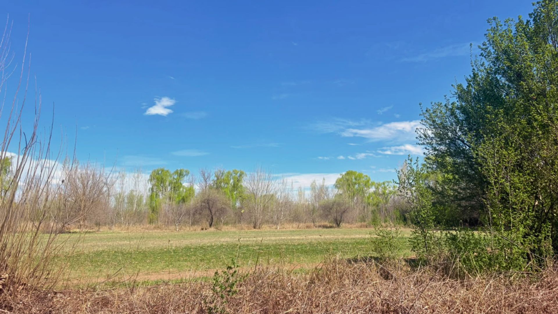Lote en Venta en Tunuyan, Mendoza