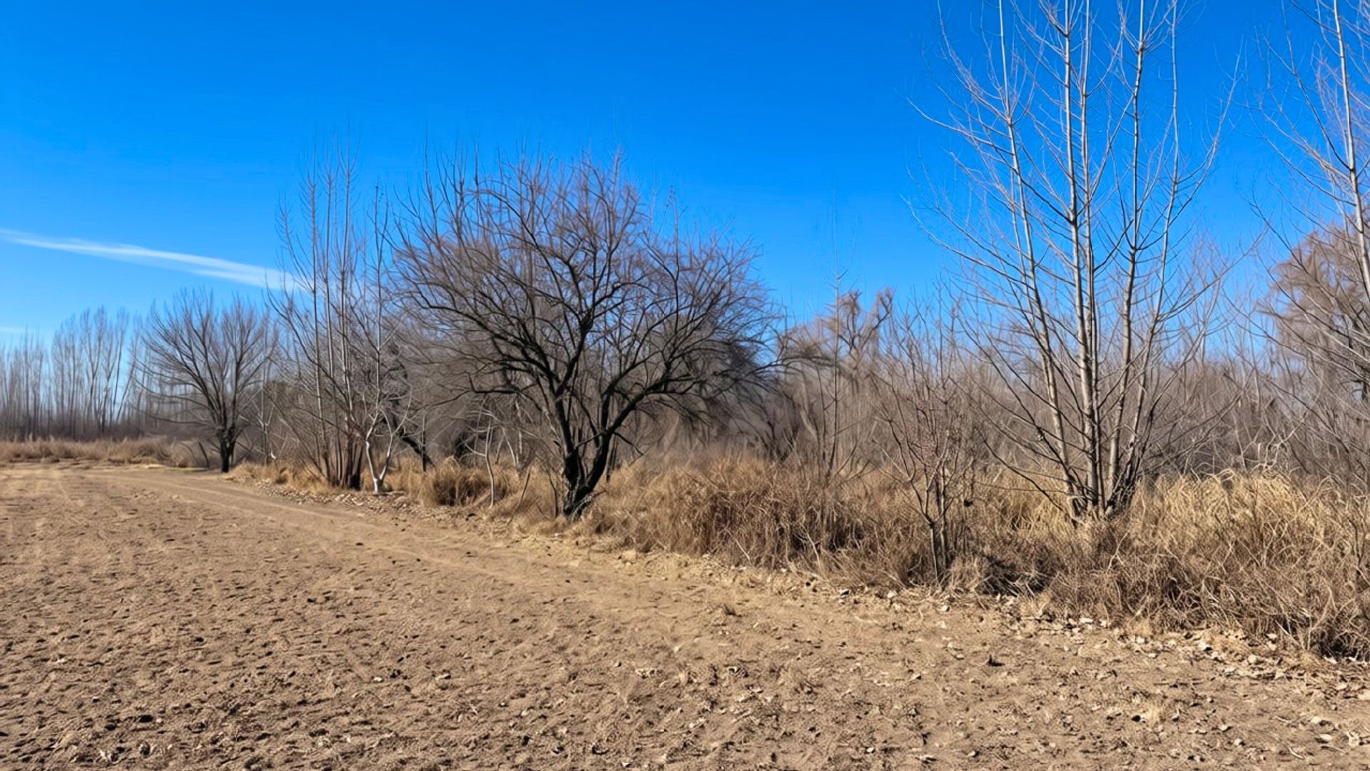 Lote en Venta en Tunuyan, Mendoza