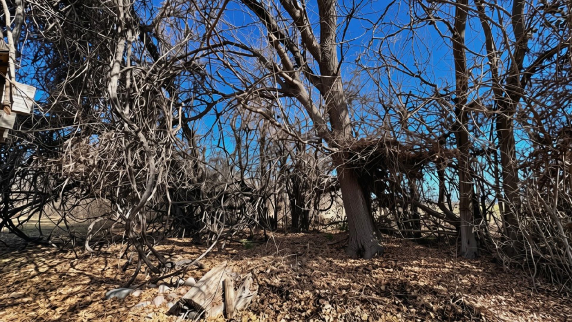 Lote en Venta en Tunuyan, Mendoza
