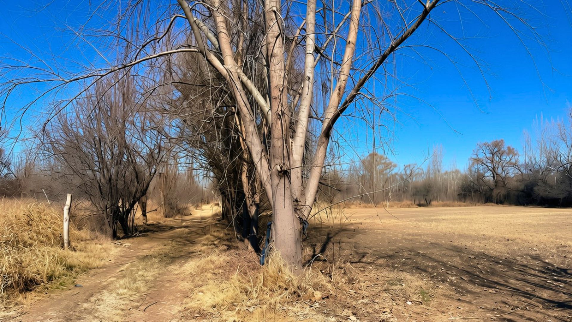 Lote en Venta en Tunuyan, Mendoza