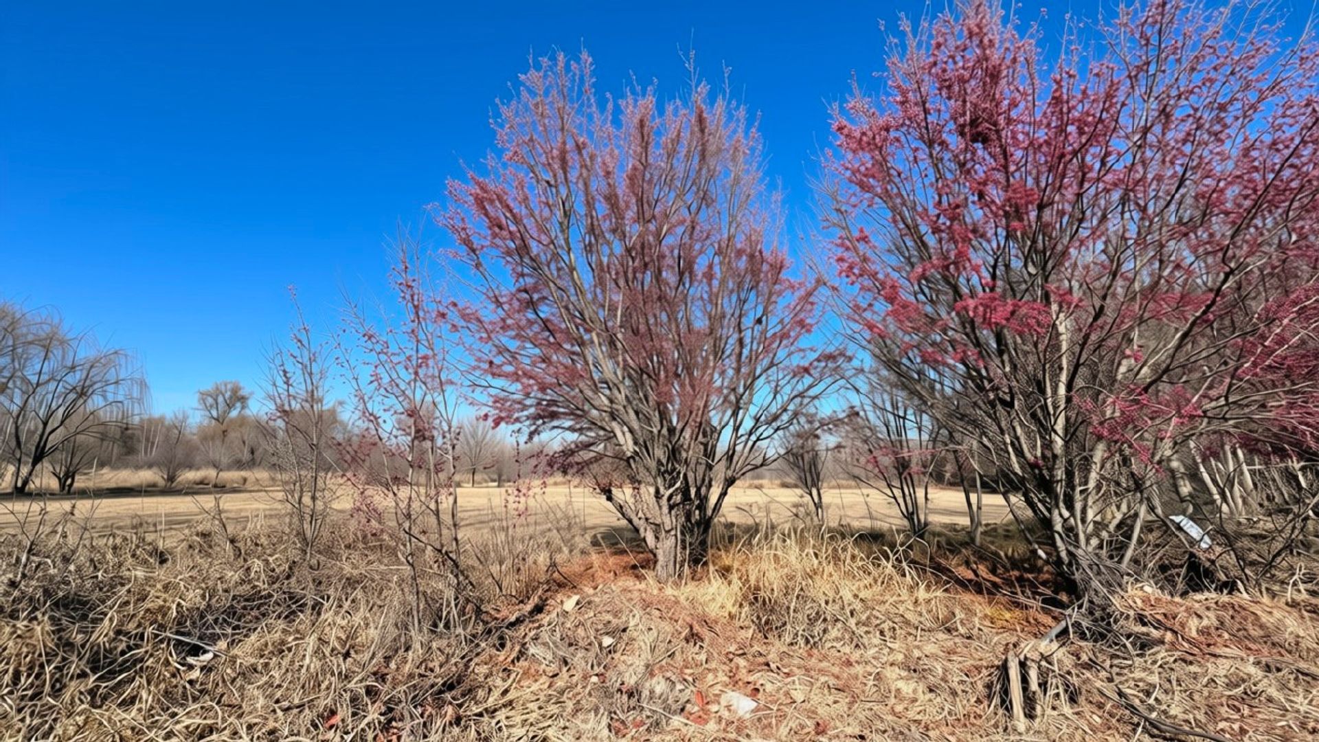 Lote en Venta en Tunuyan, Mendoza