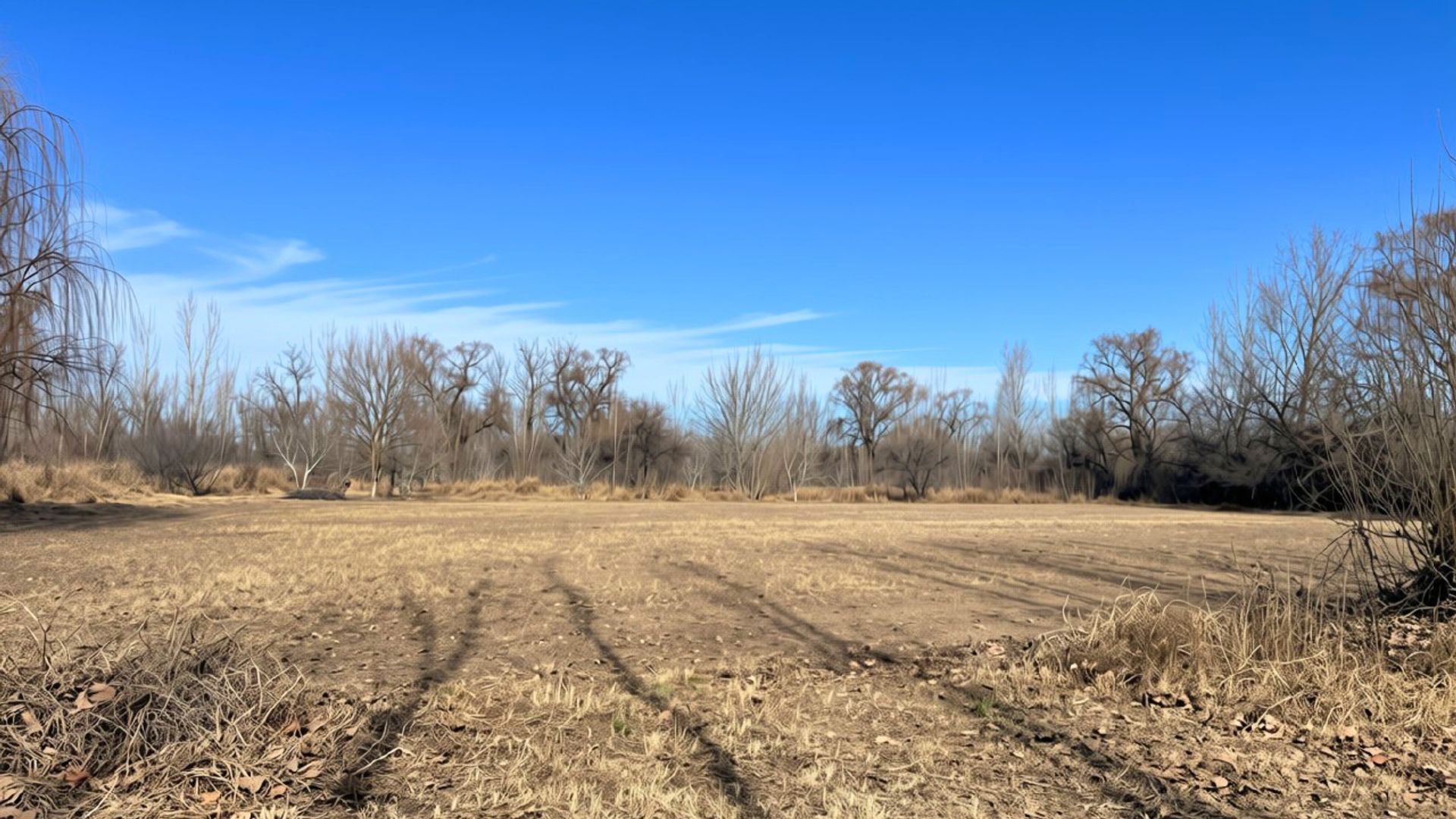 Lote en Venta en Tunuyan, Mendoza