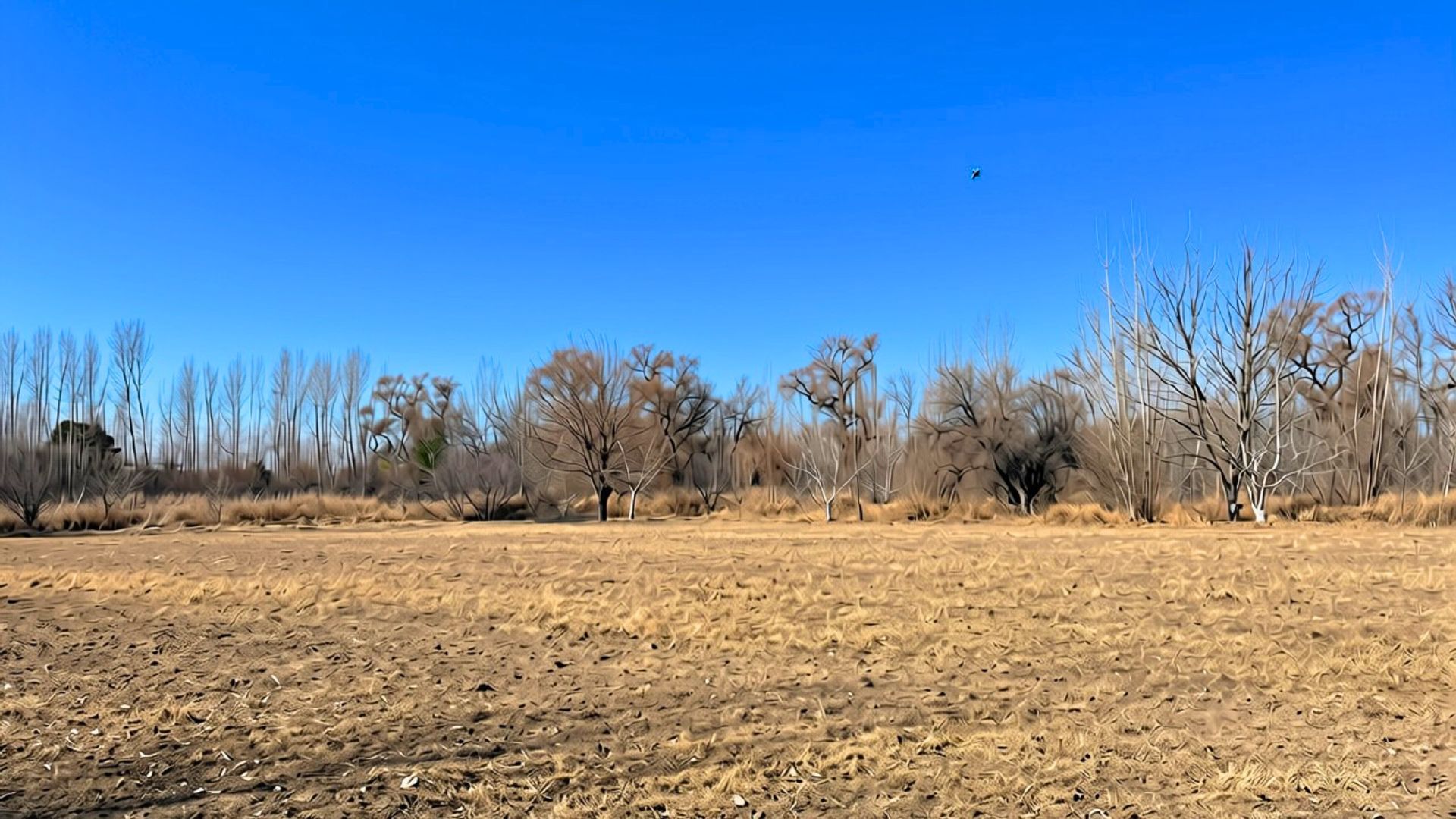 Lote en Venta en Tunuyan, Mendoza