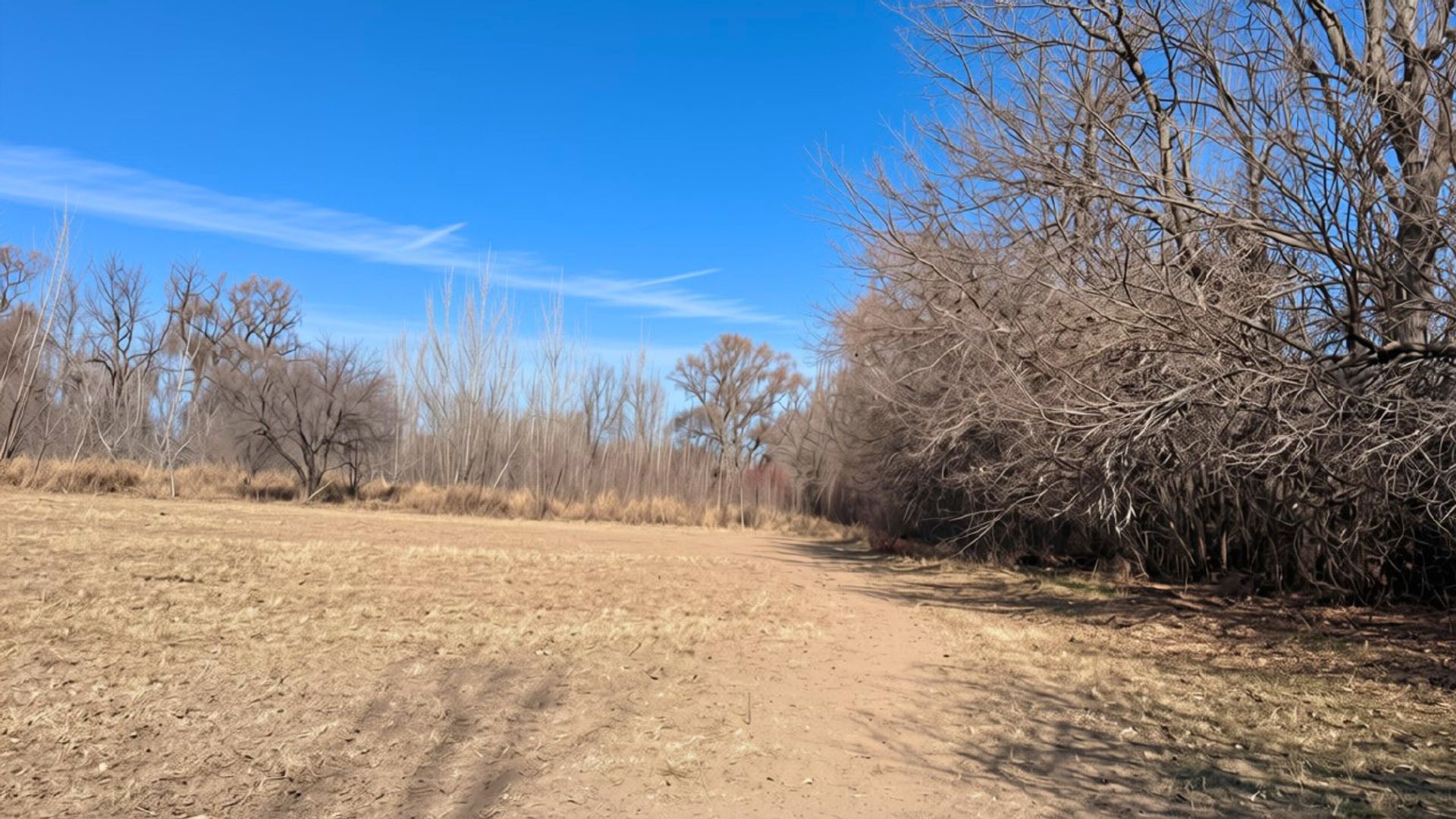 Lote en Venta en Tunuyan, Mendoza