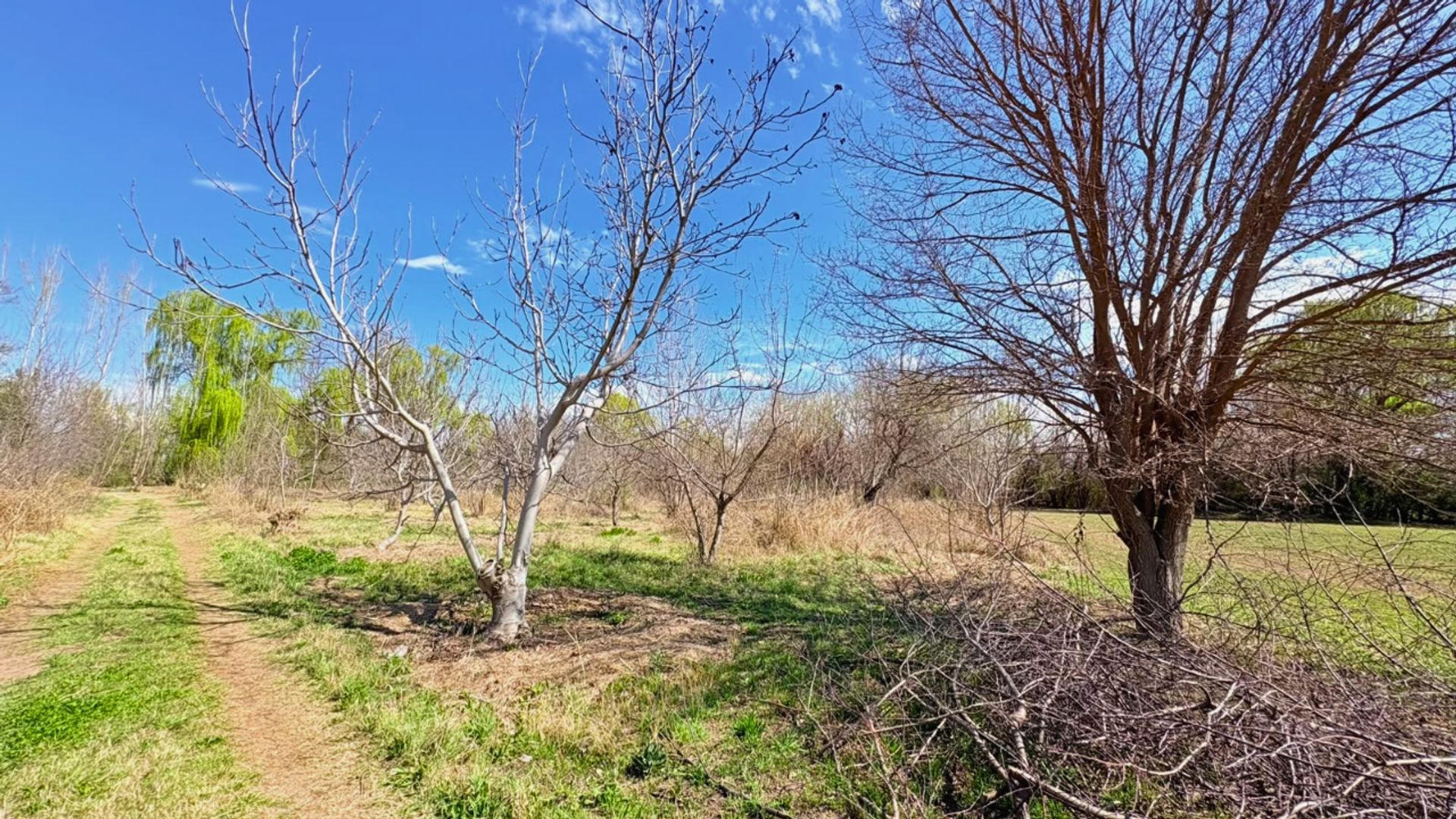 Lote en Venta en Tunuyan, Mendoza