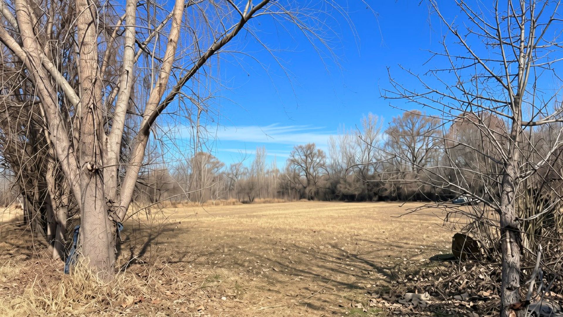 Lote en Venta en Tunuyan, Mendoza