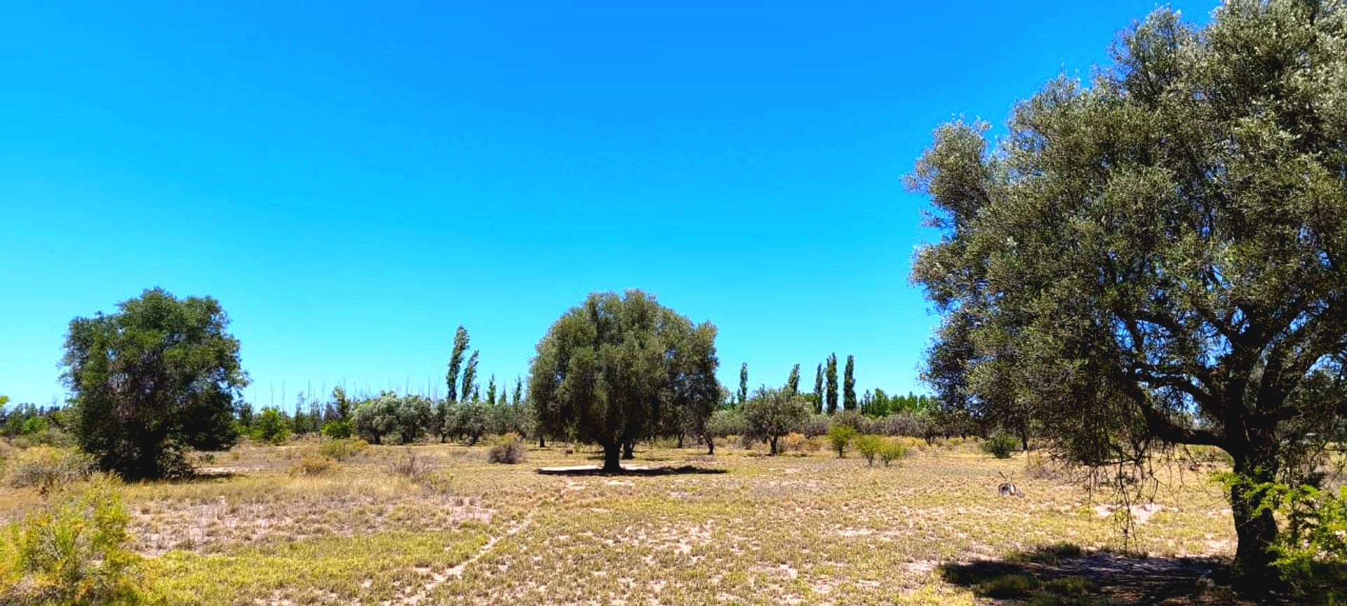 Casa Quinta en Venta en San Rafael, Mendoza