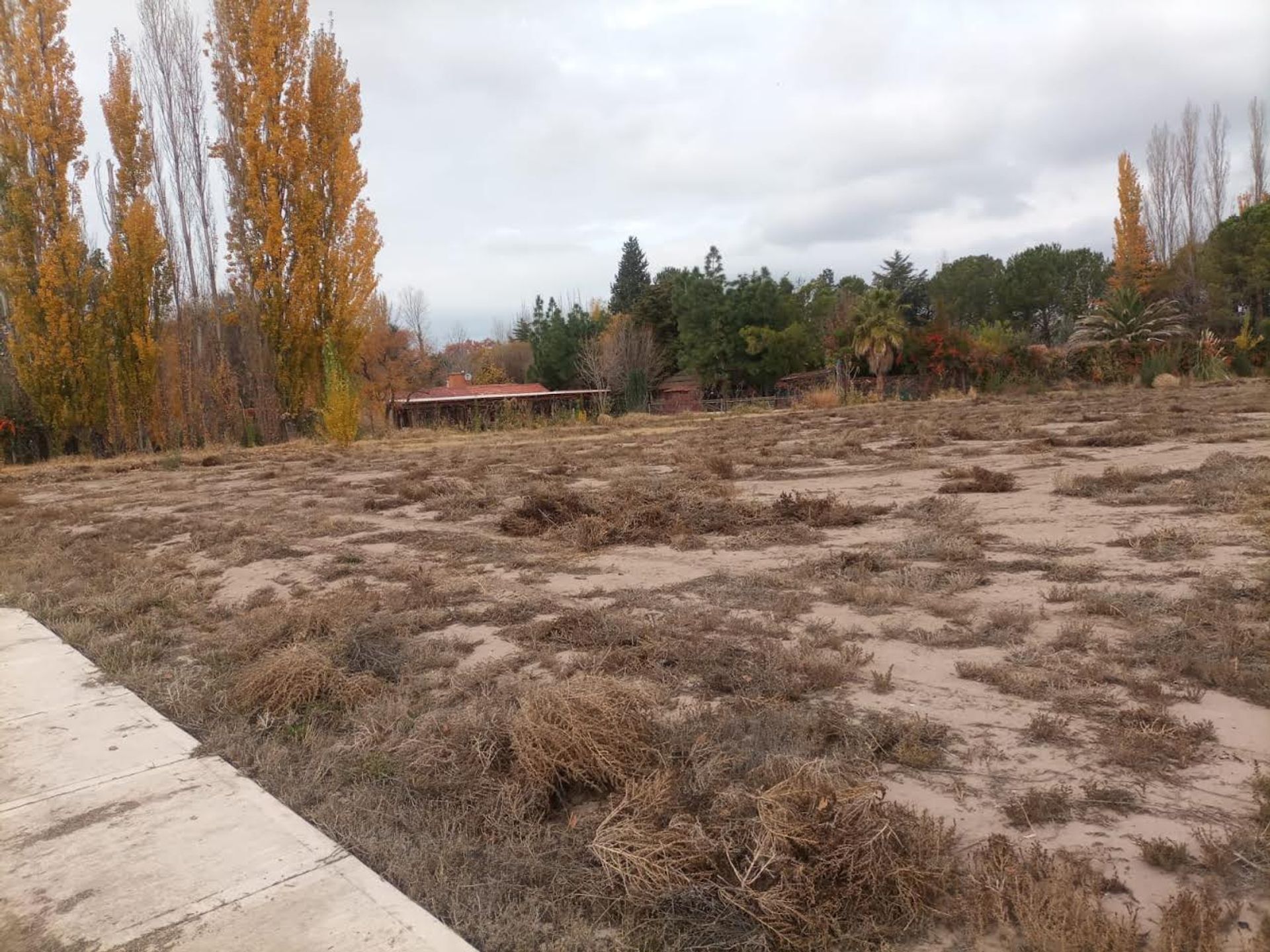 Lote en Venta en Lujan de Cuyo, Mendoza