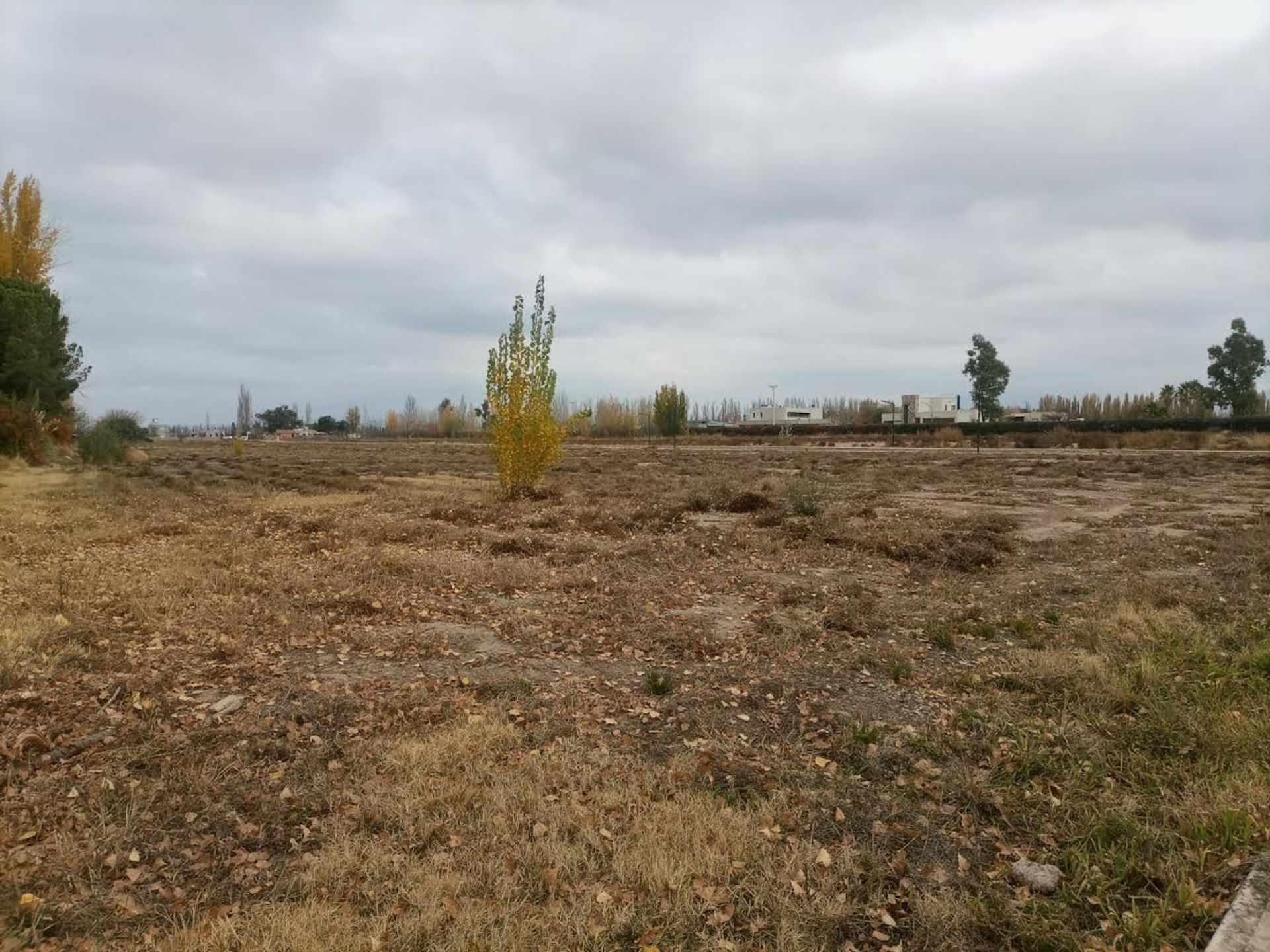 Lote en Venta en Lujan de Cuyo, Mendoza
