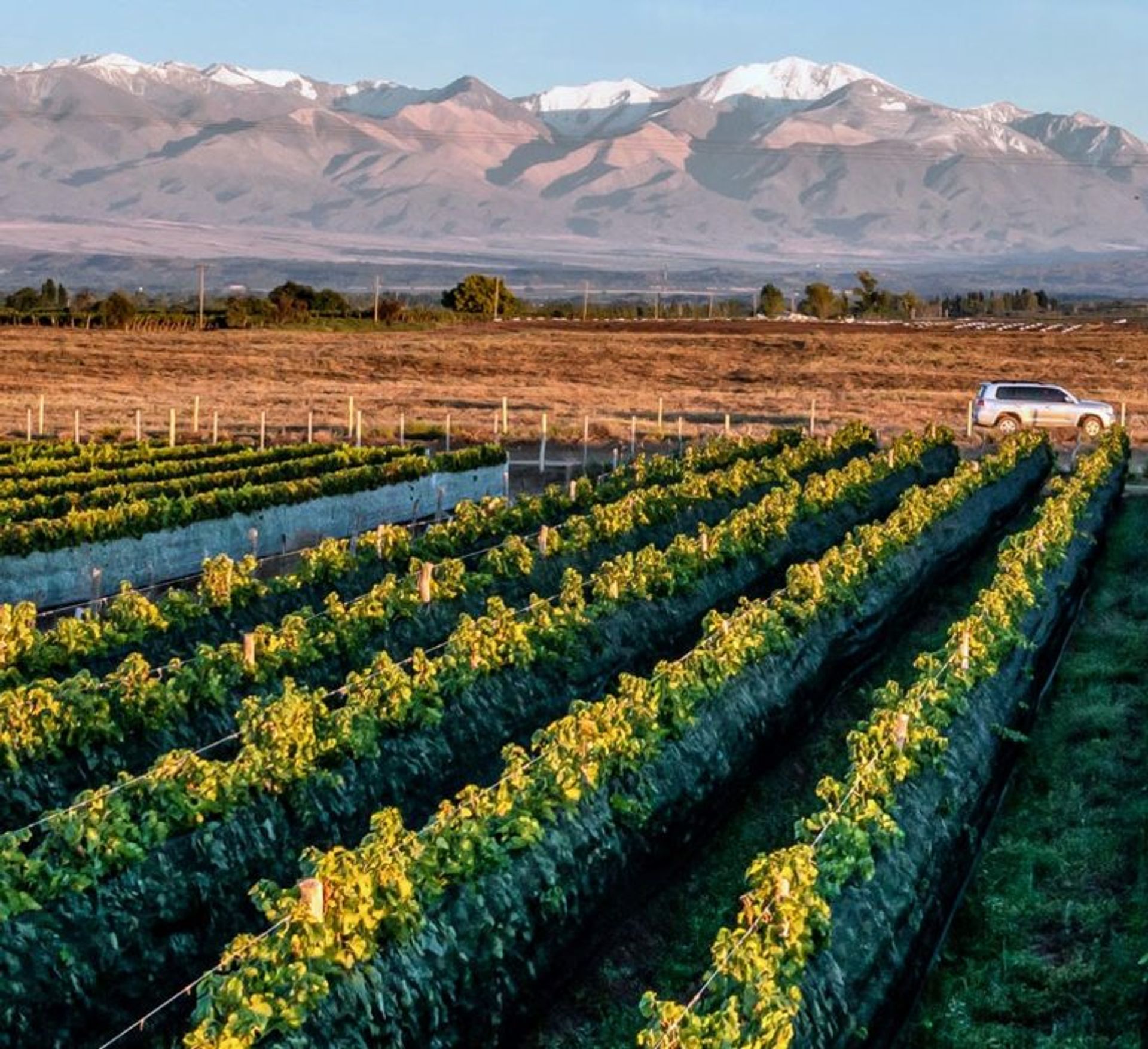 Lote en Venta en Tupungato, Mendoza
