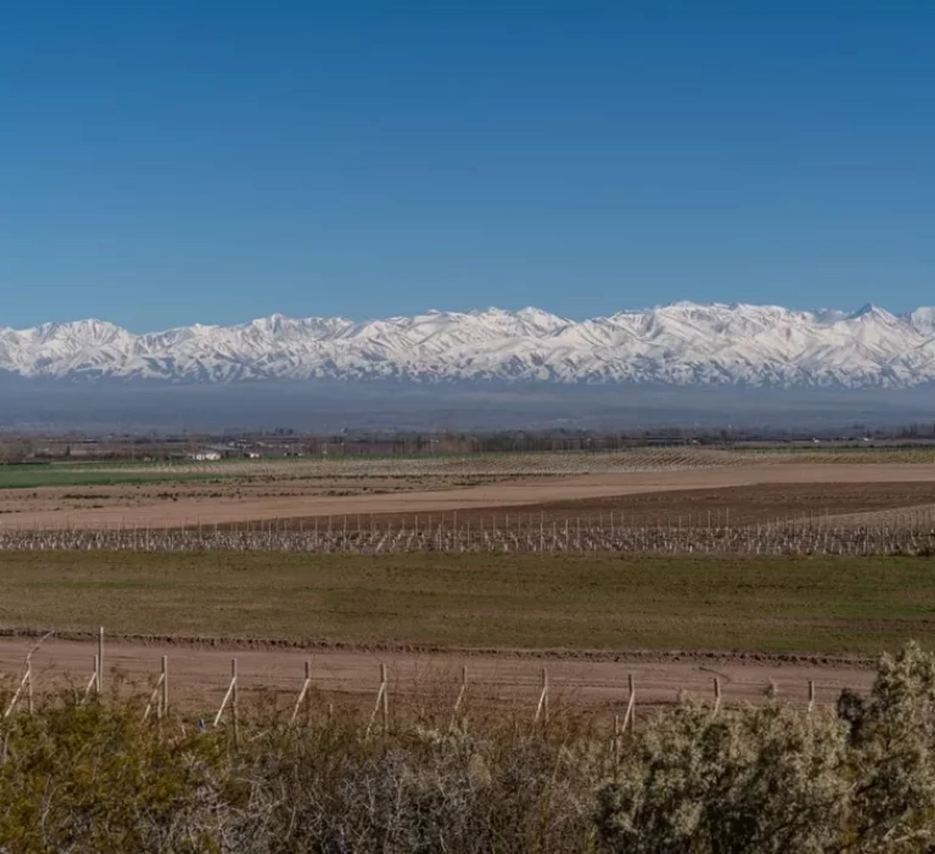 Lote en Venta en Tupungato, Mendoza