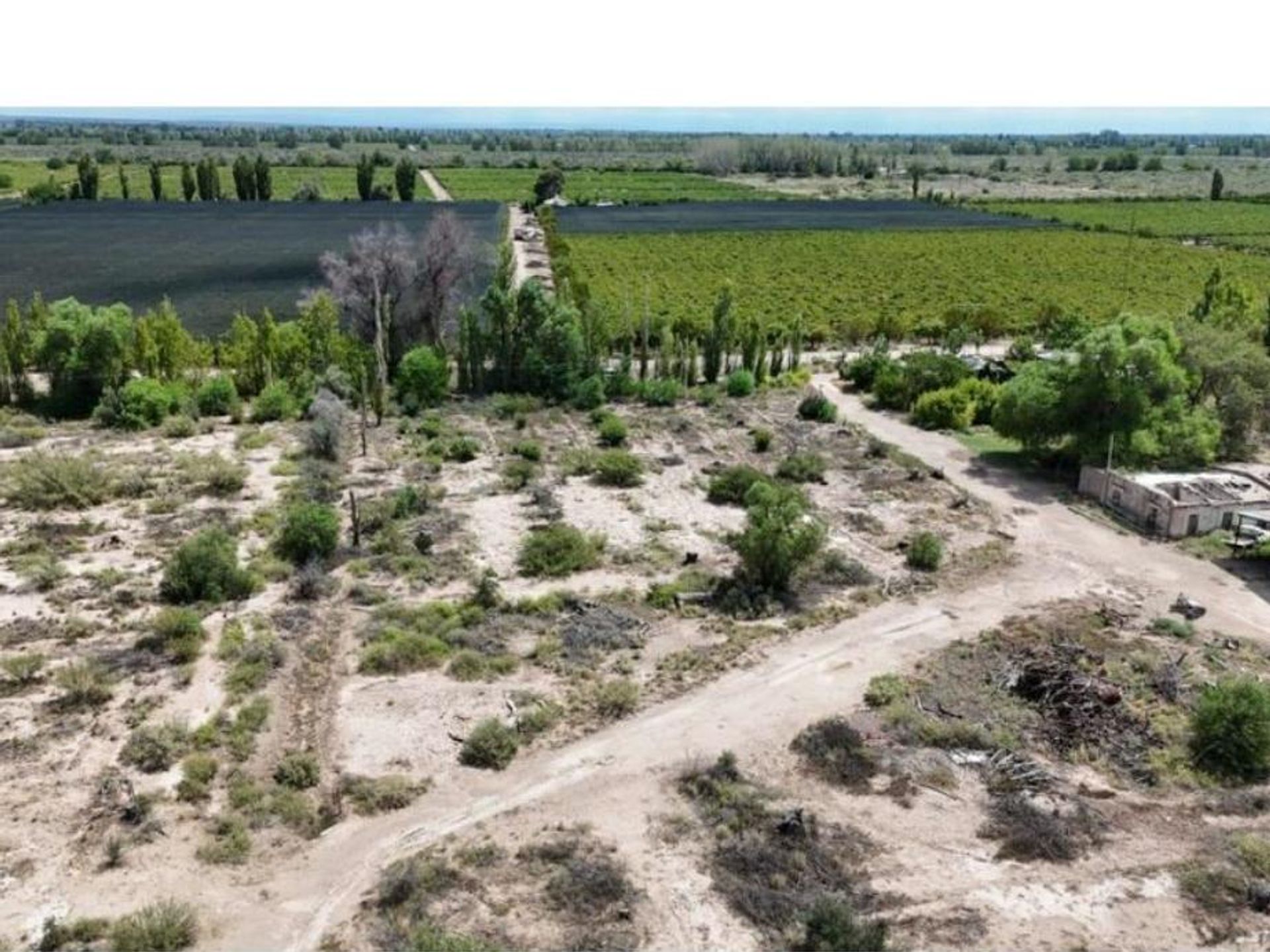 Campo en Venta en Santa Rosa, Mendoza