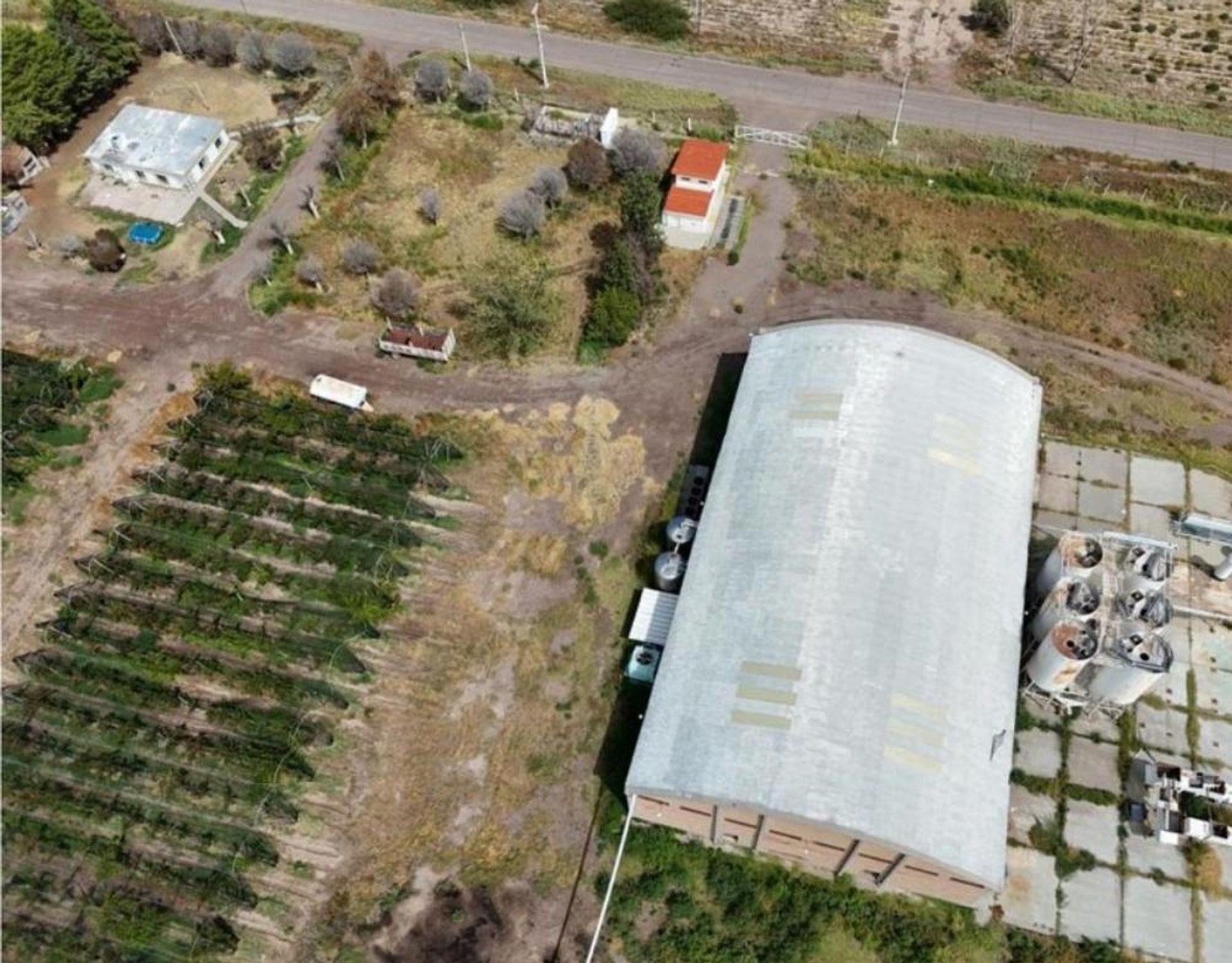 Campo en Venta en Santa Rosa, Mendoza