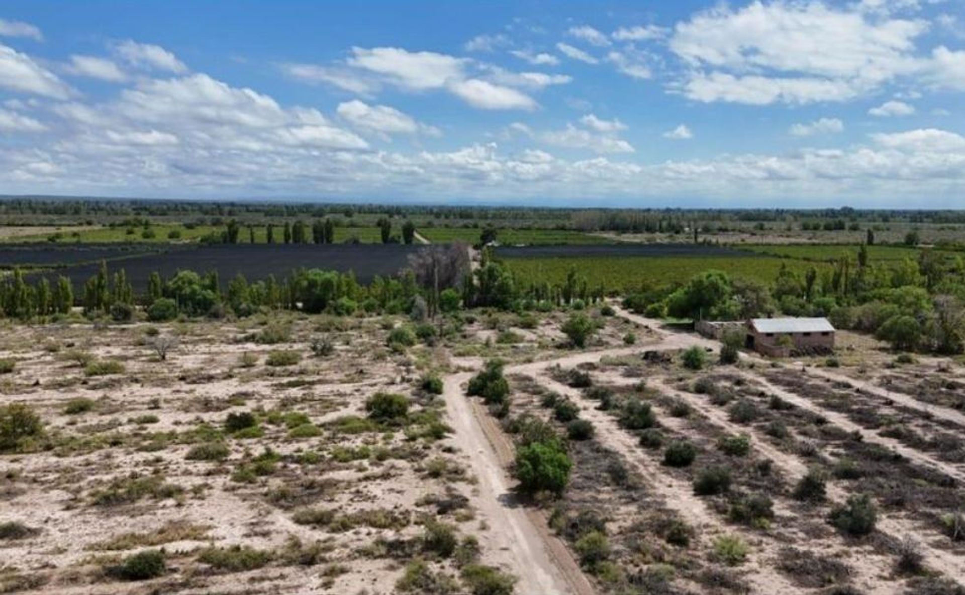 Campo en Venta en Santa Rosa, Mendoza