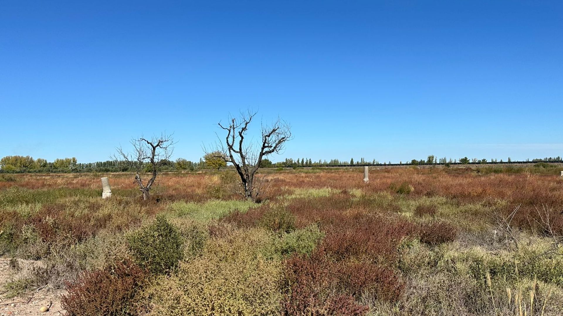 Campo en Venta en San Martin, Mendoza