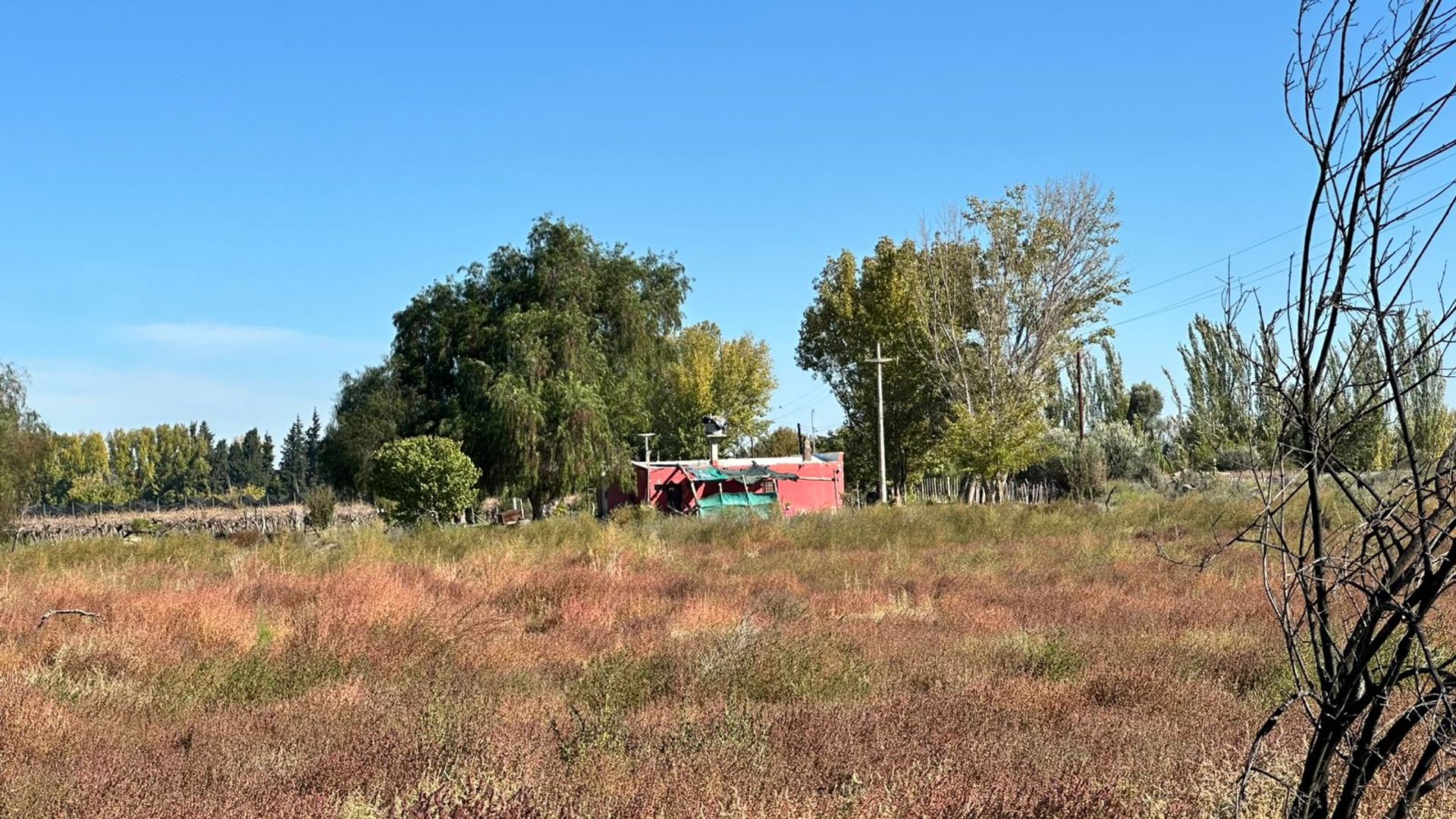 Campo en Venta en San Martin, Mendoza