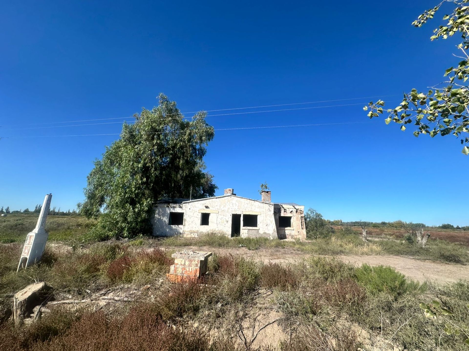 Campo en Venta en San Martin, Mendoza
