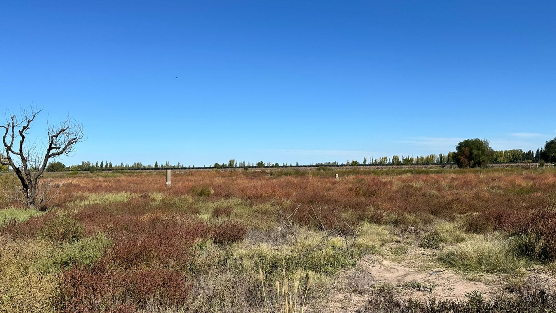 Campo en Venta en San Martin, Mendoza