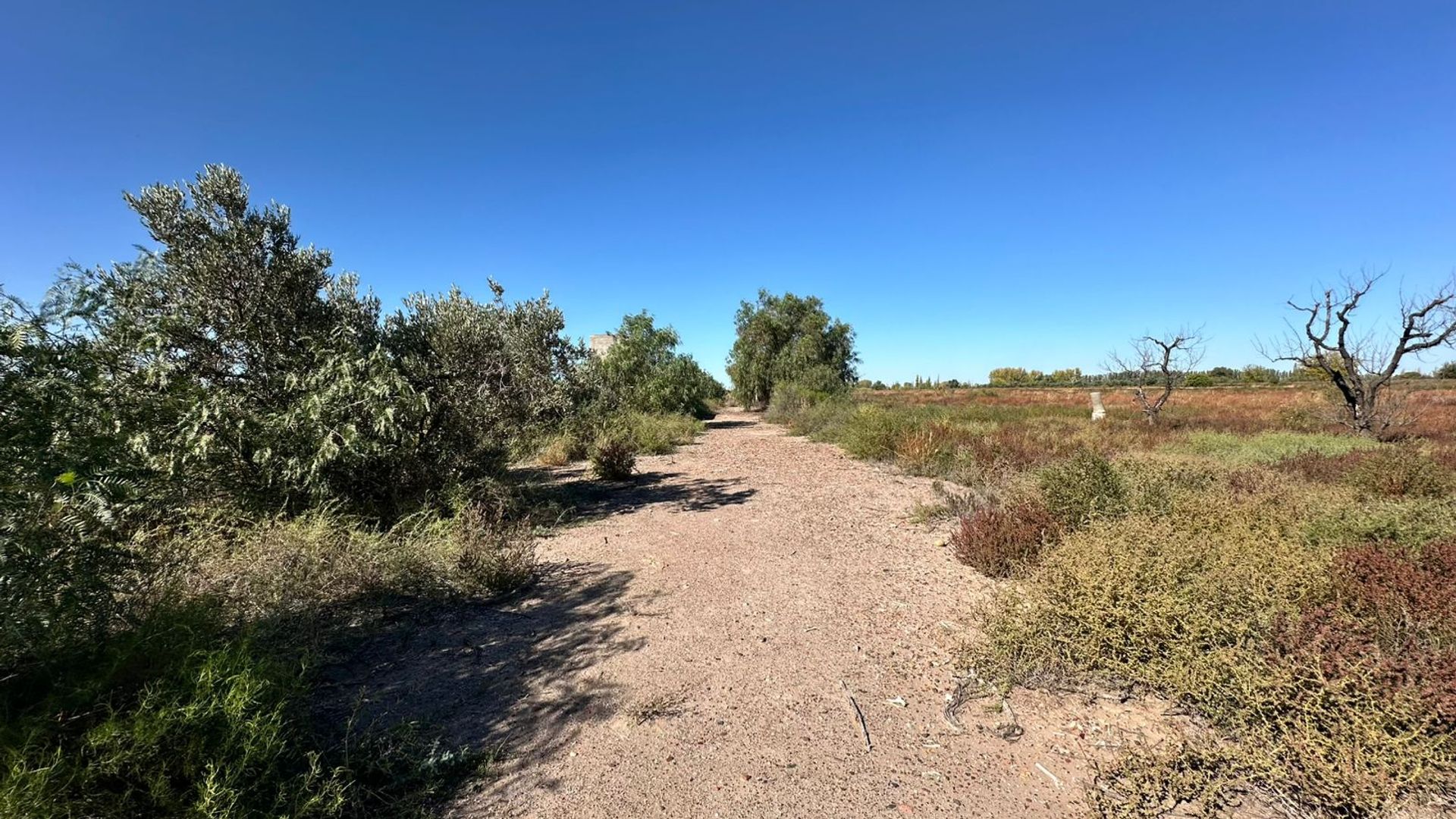 Campo en Venta en San Martin, Mendoza