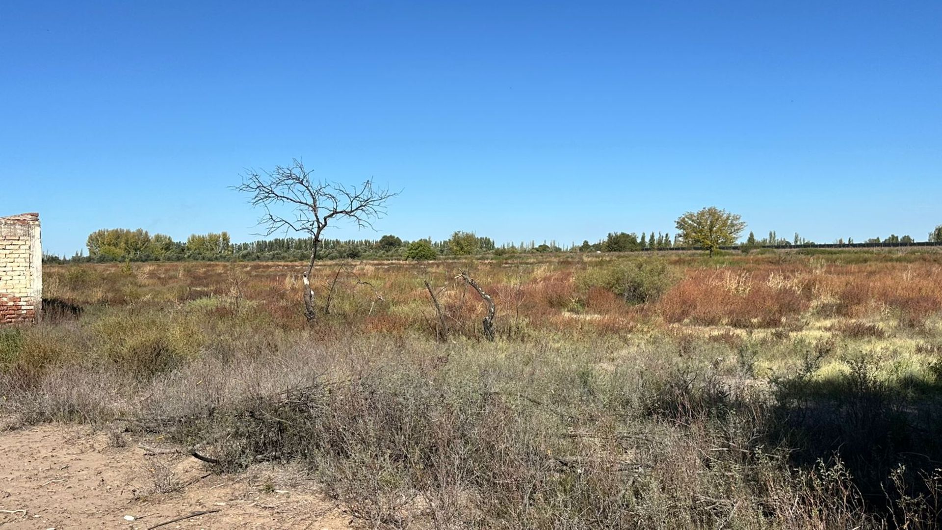 Campo en Venta en San Martin, Mendoza