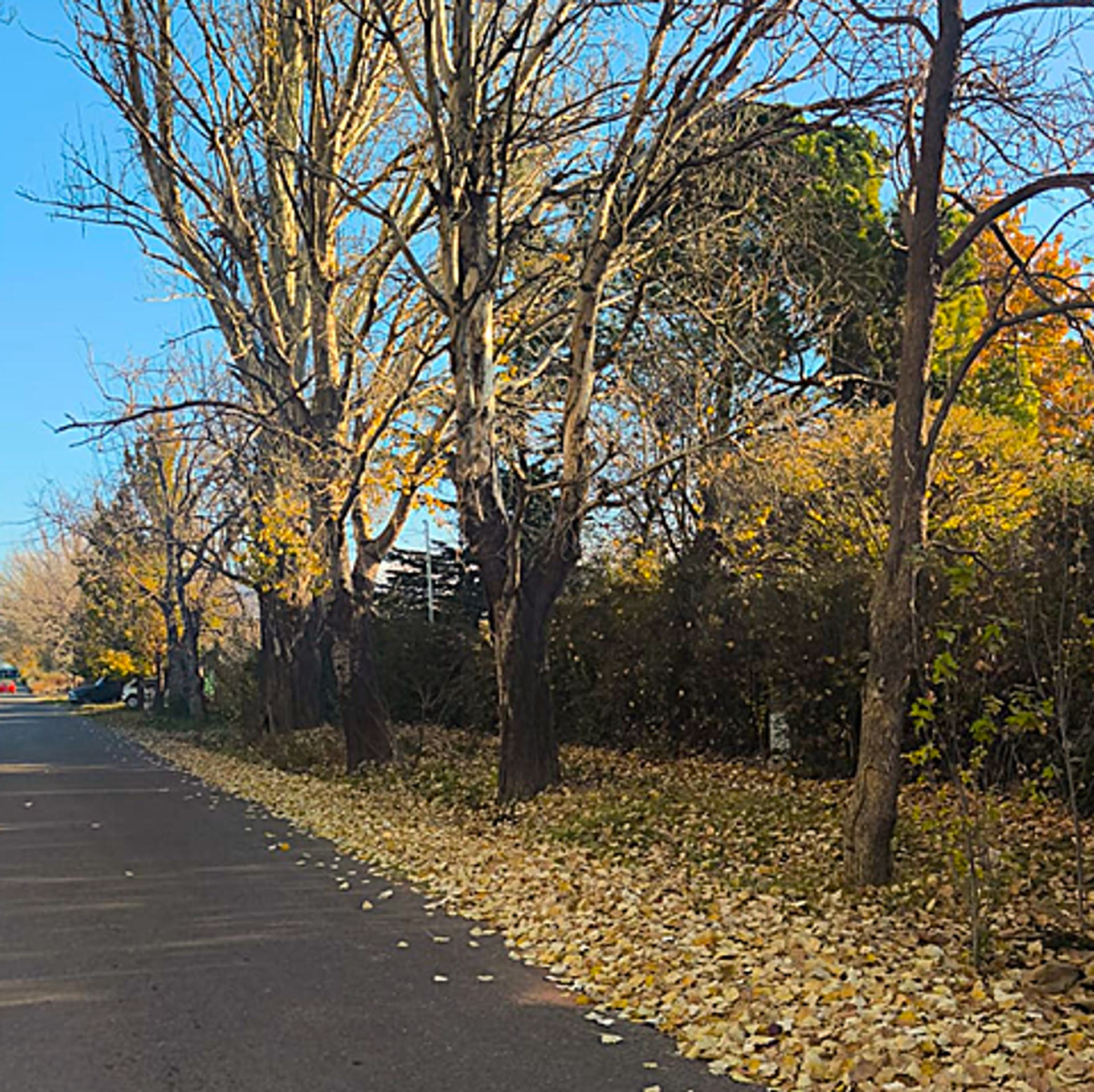 Casa Quinta en Venta en San Carlos, Mendoza