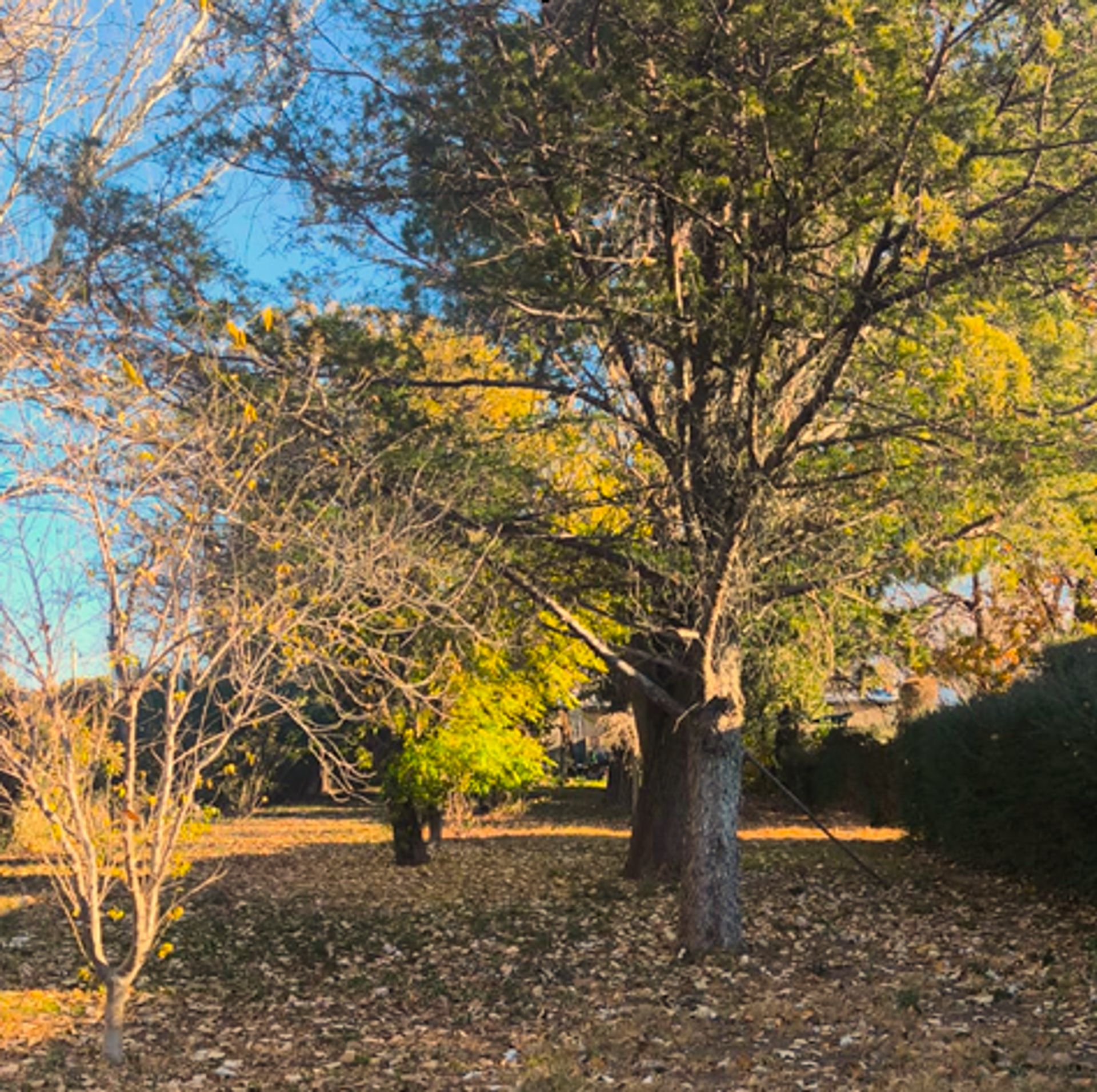 Casa Quinta en Venta en San Carlos, Mendoza