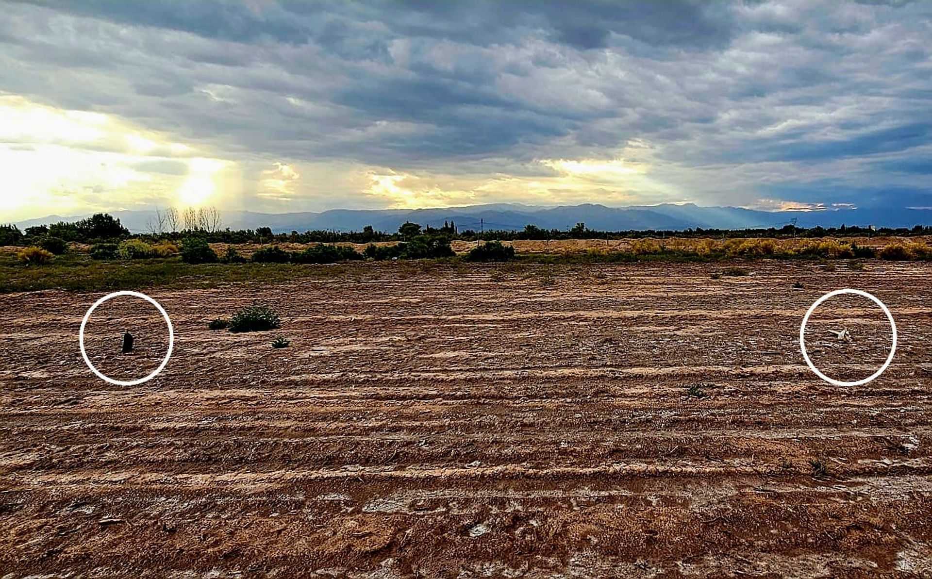 Lote en Venta en Guaymallen, Mendoza