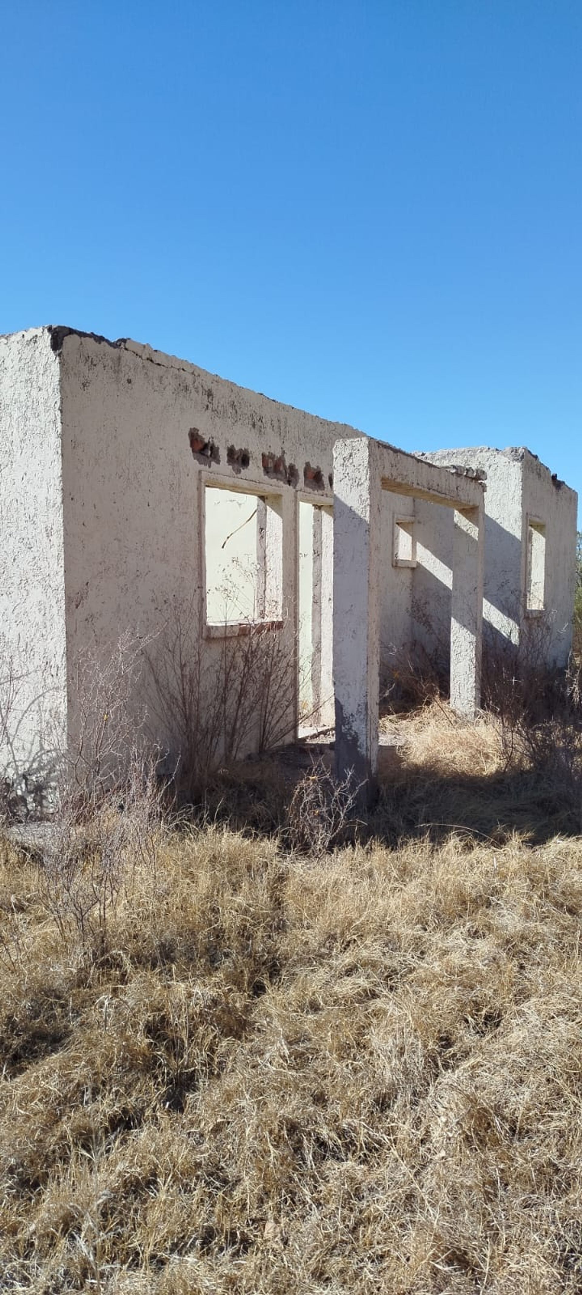 Campo en Venta en Lavalle, Mendoza