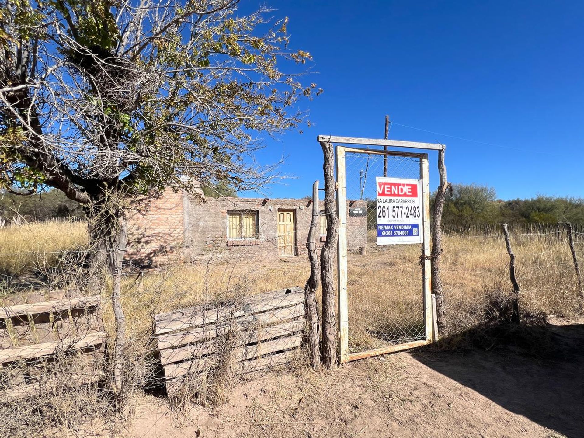 Campo en Venta en La Paz, Mendoza
