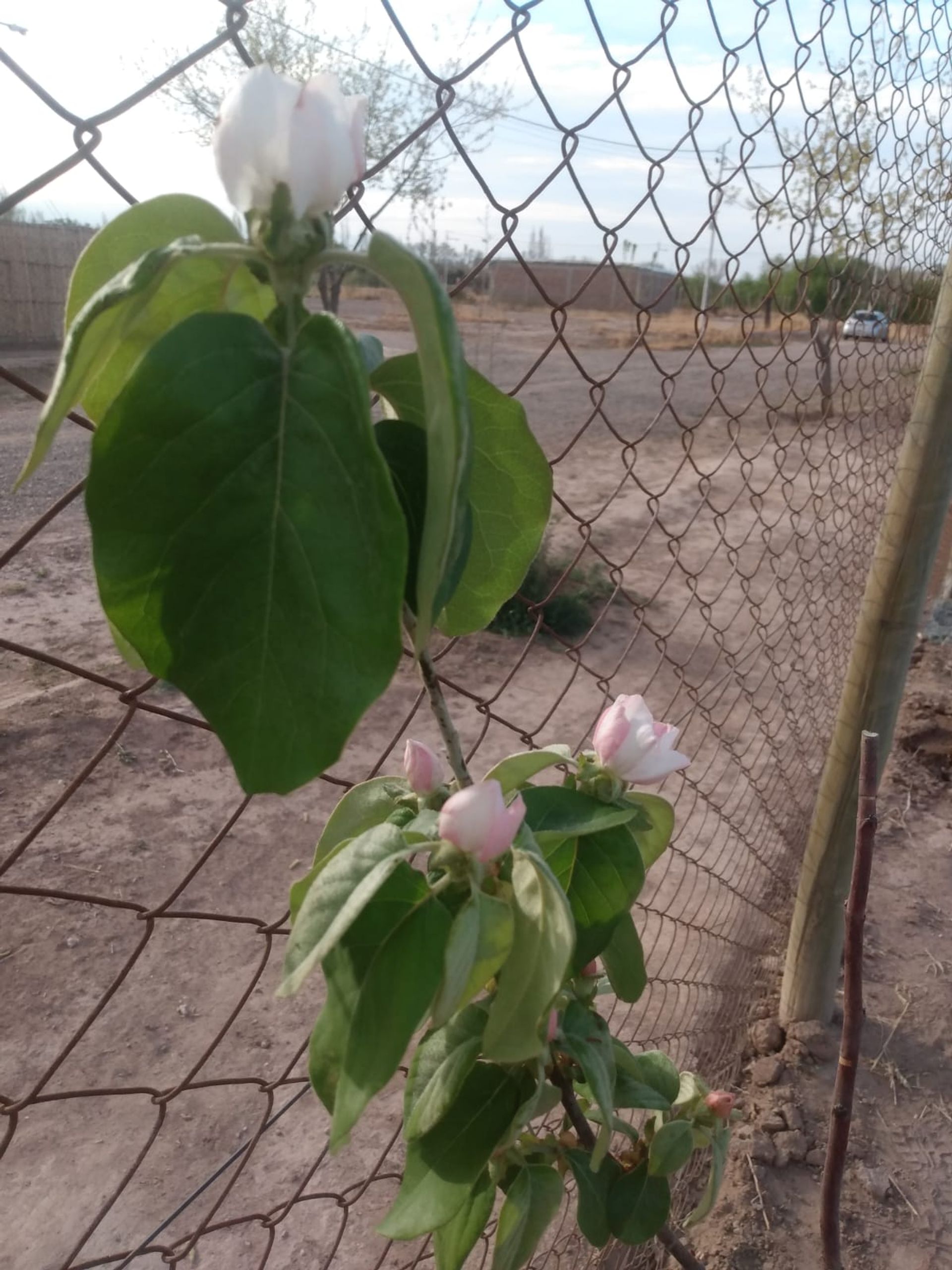 Lote en Venta en Guaymallen, Mendoza
