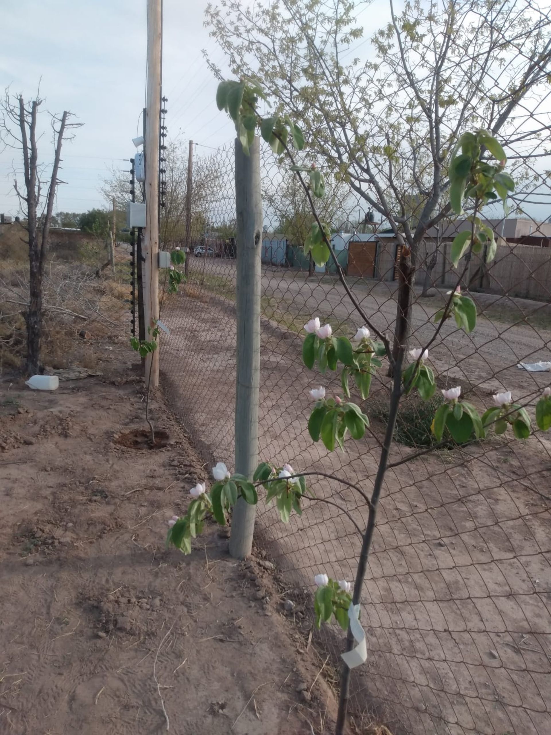Lote en Venta en Guaymallen, Mendoza