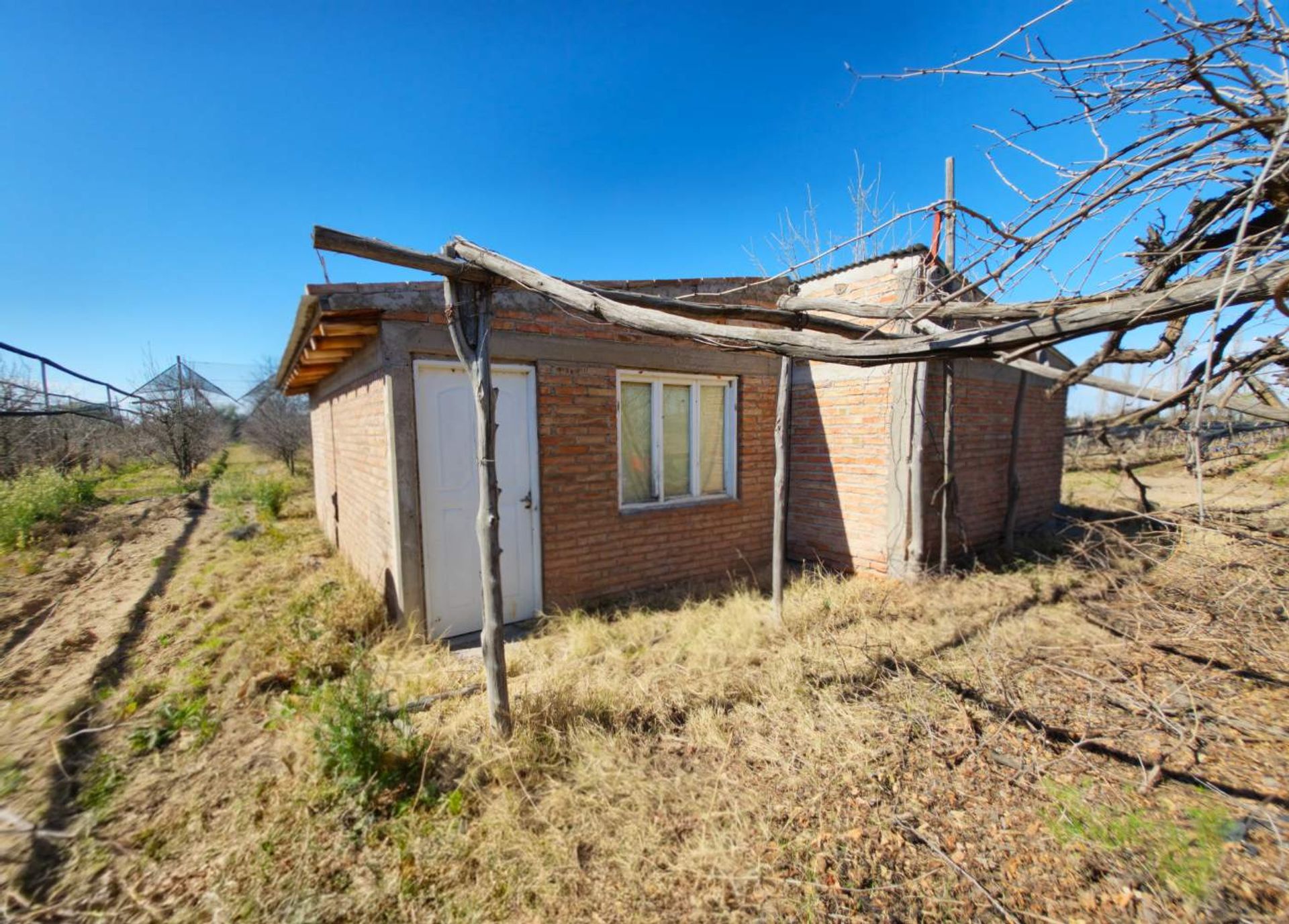 Campo en Venta en San Rafael, Mendoza