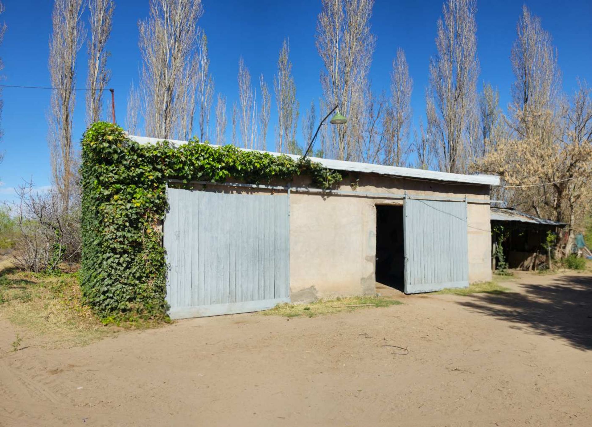 Campo en Venta en San Rafael, Mendoza