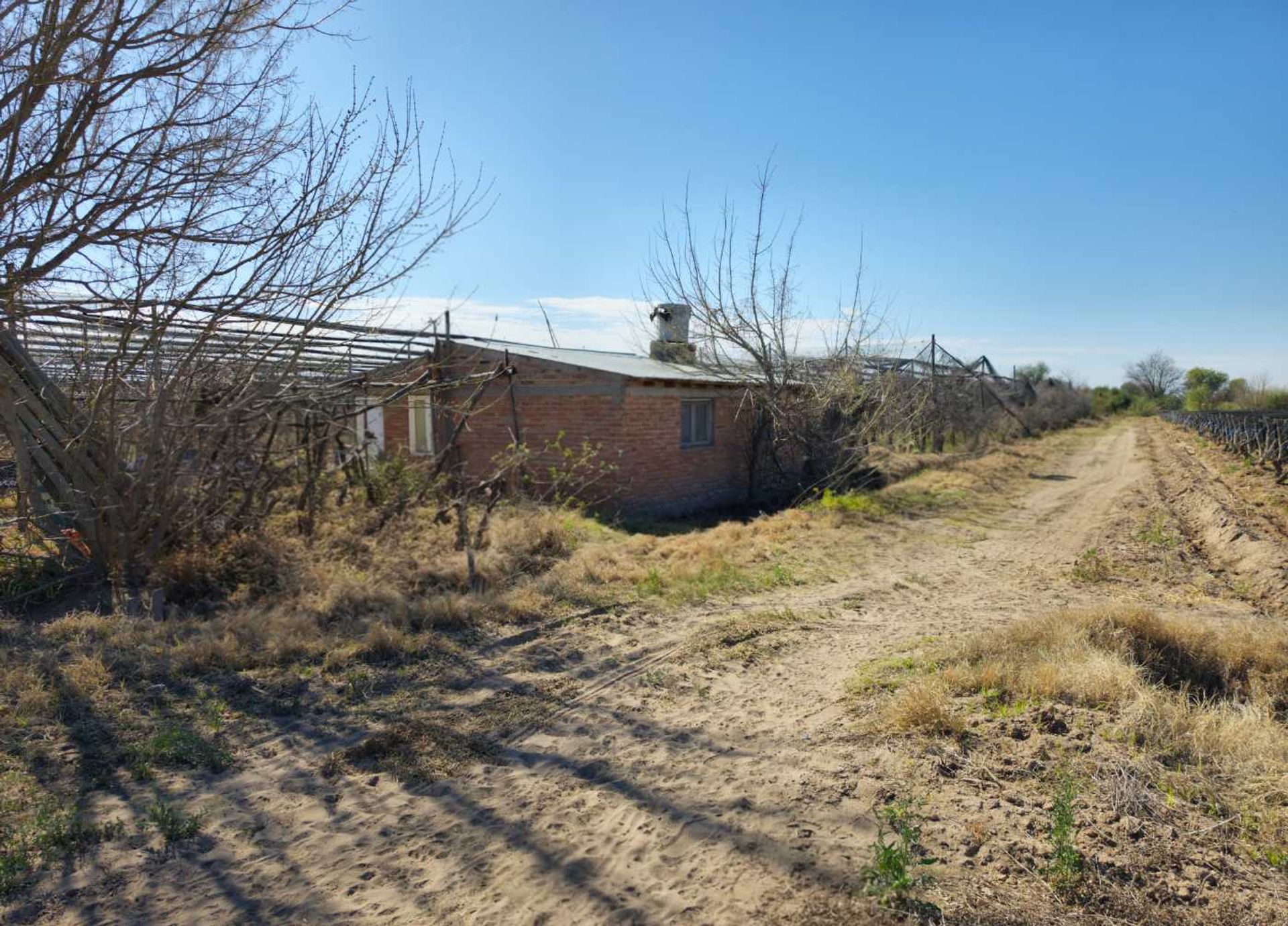 Campo en Venta en San Rafael, Mendoza