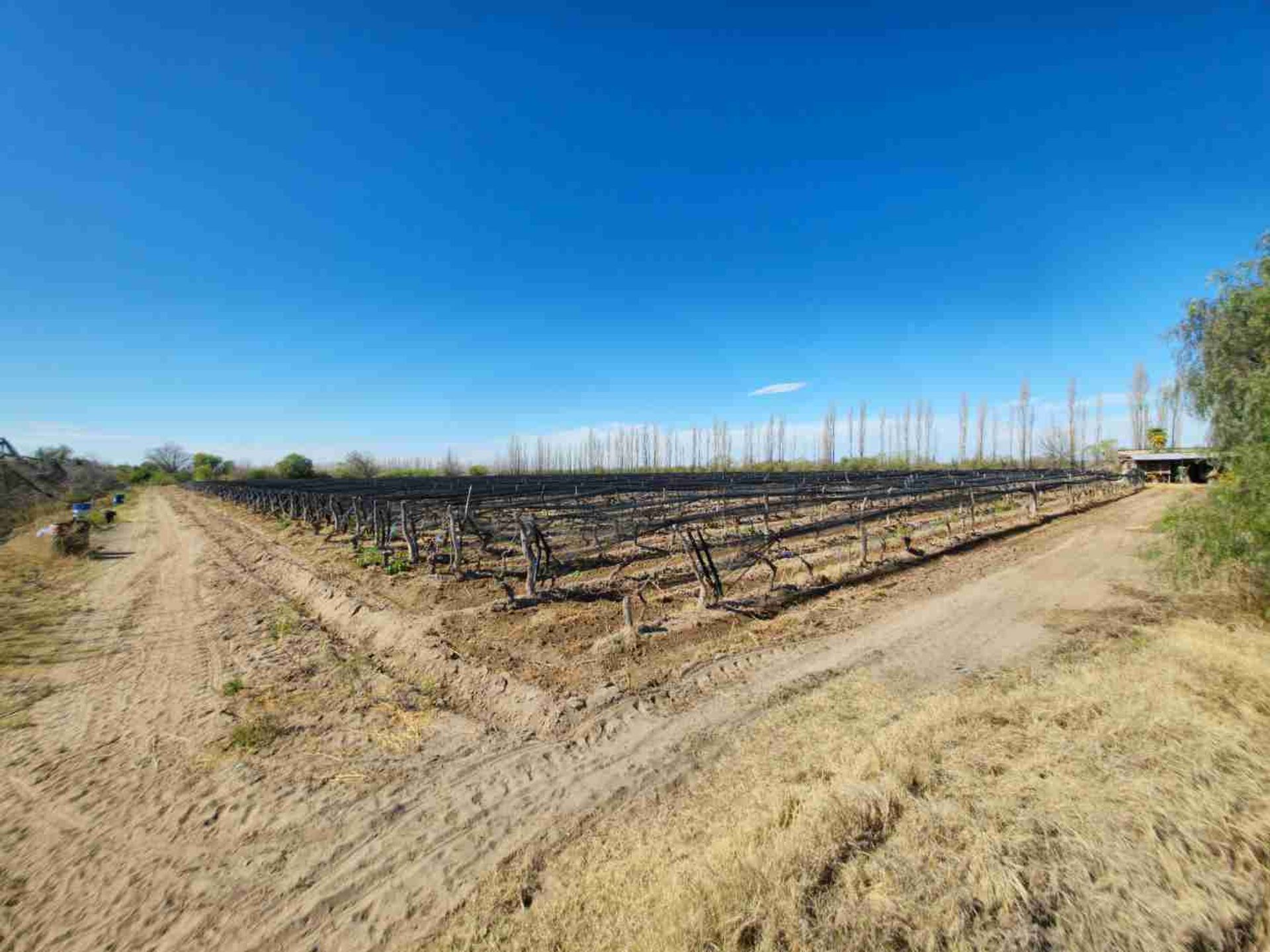 Campo en Venta en San Rafael, Mendoza