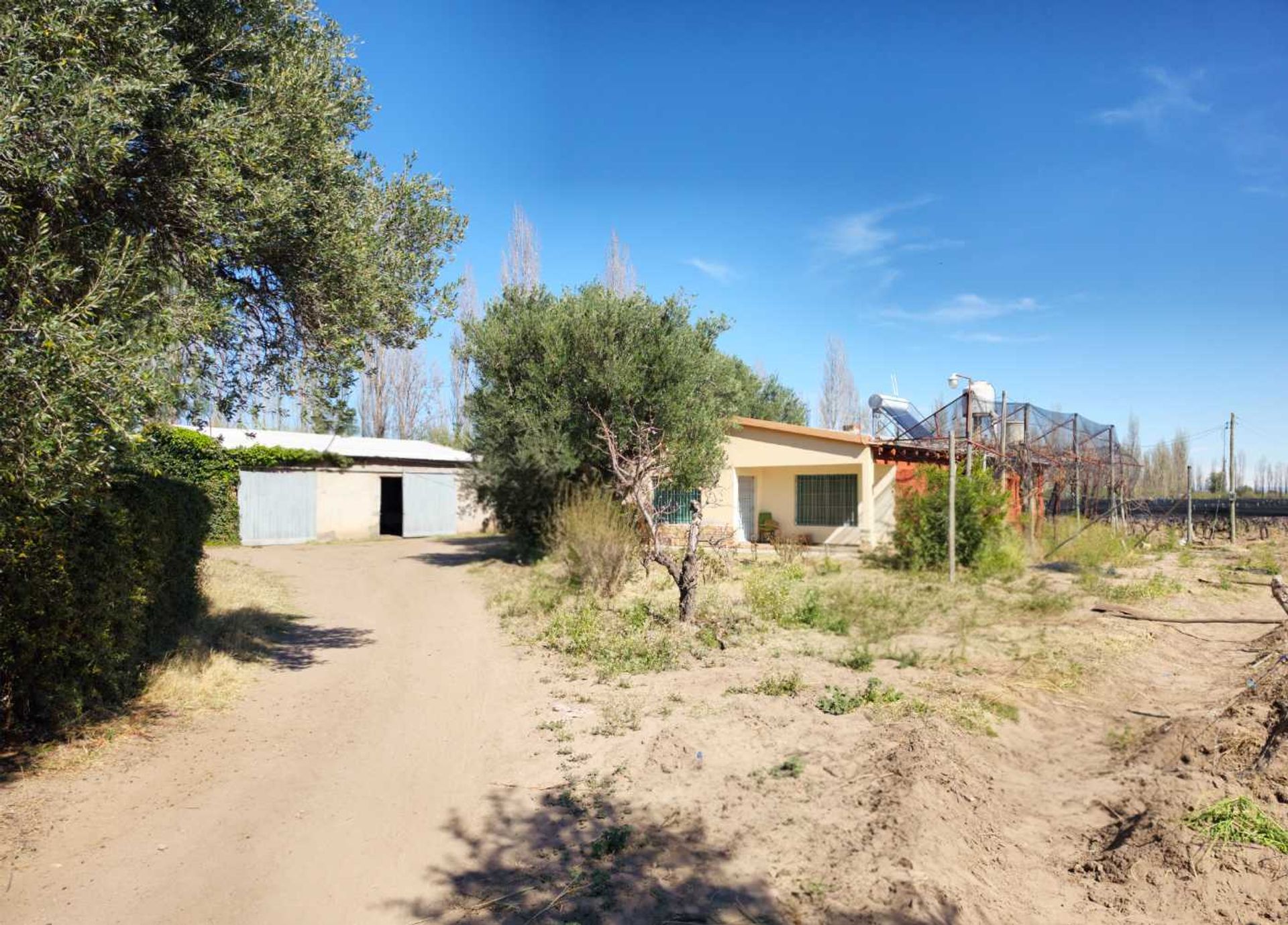 Campo en Venta en San Rafael, Mendoza