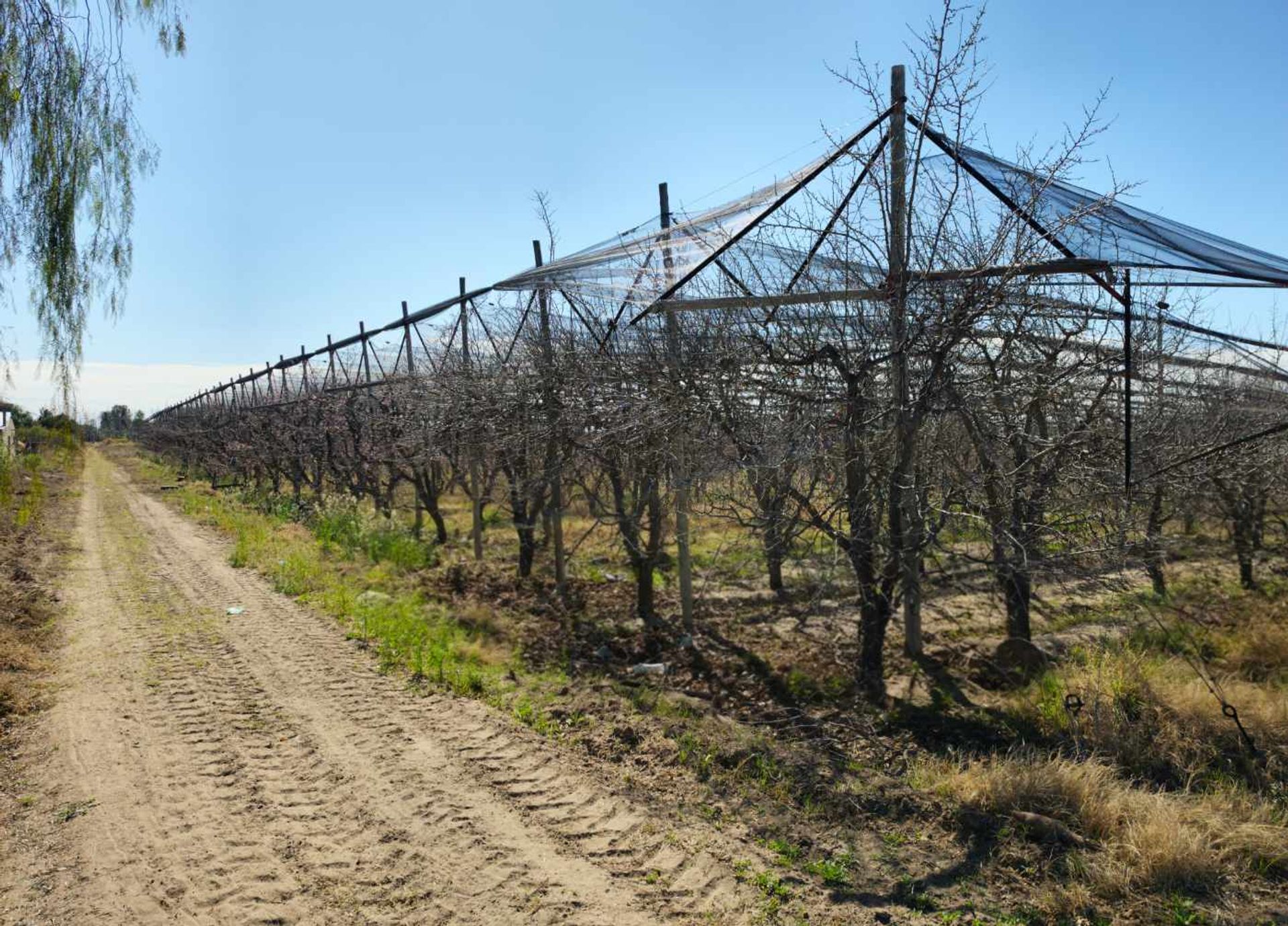 Campo en Venta en San Rafael, Mendoza