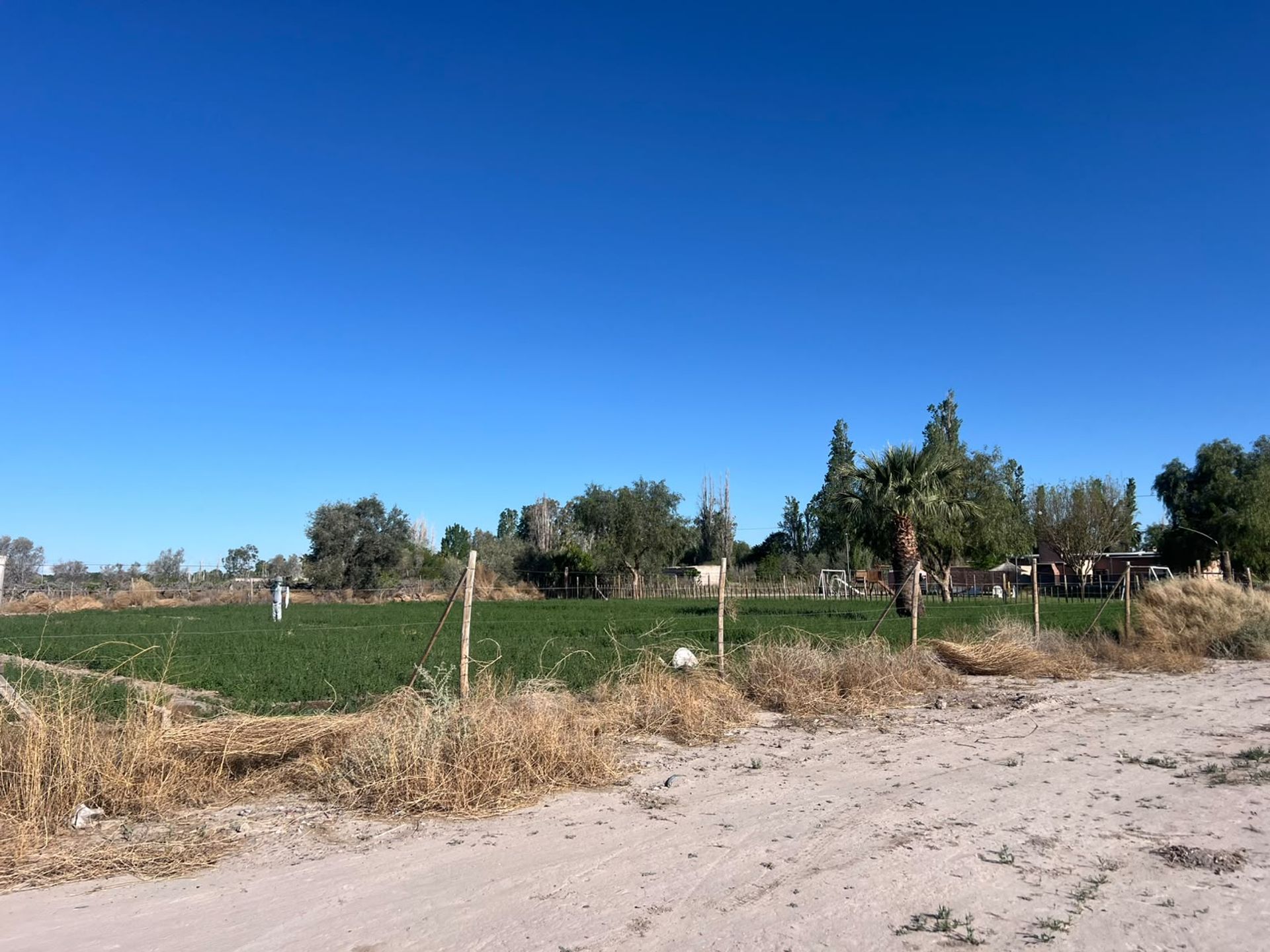 Lote en Venta en Santa Lucia, San Juan - USD 19.500 | Inmoup - 11