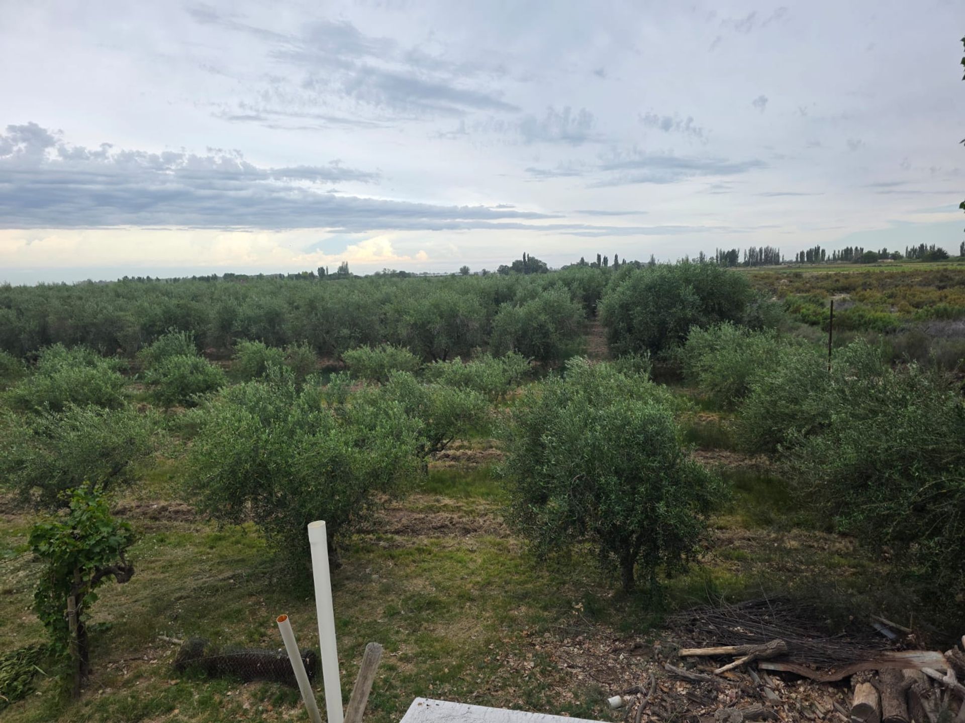 Casa Quinta en Venta en Maipu, Mendoza