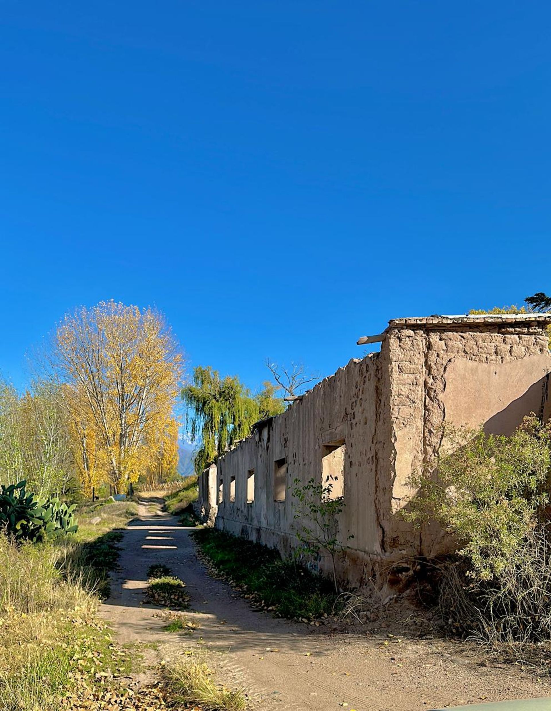 Casa en Venta en Lujan de Cuyo, Mendoza