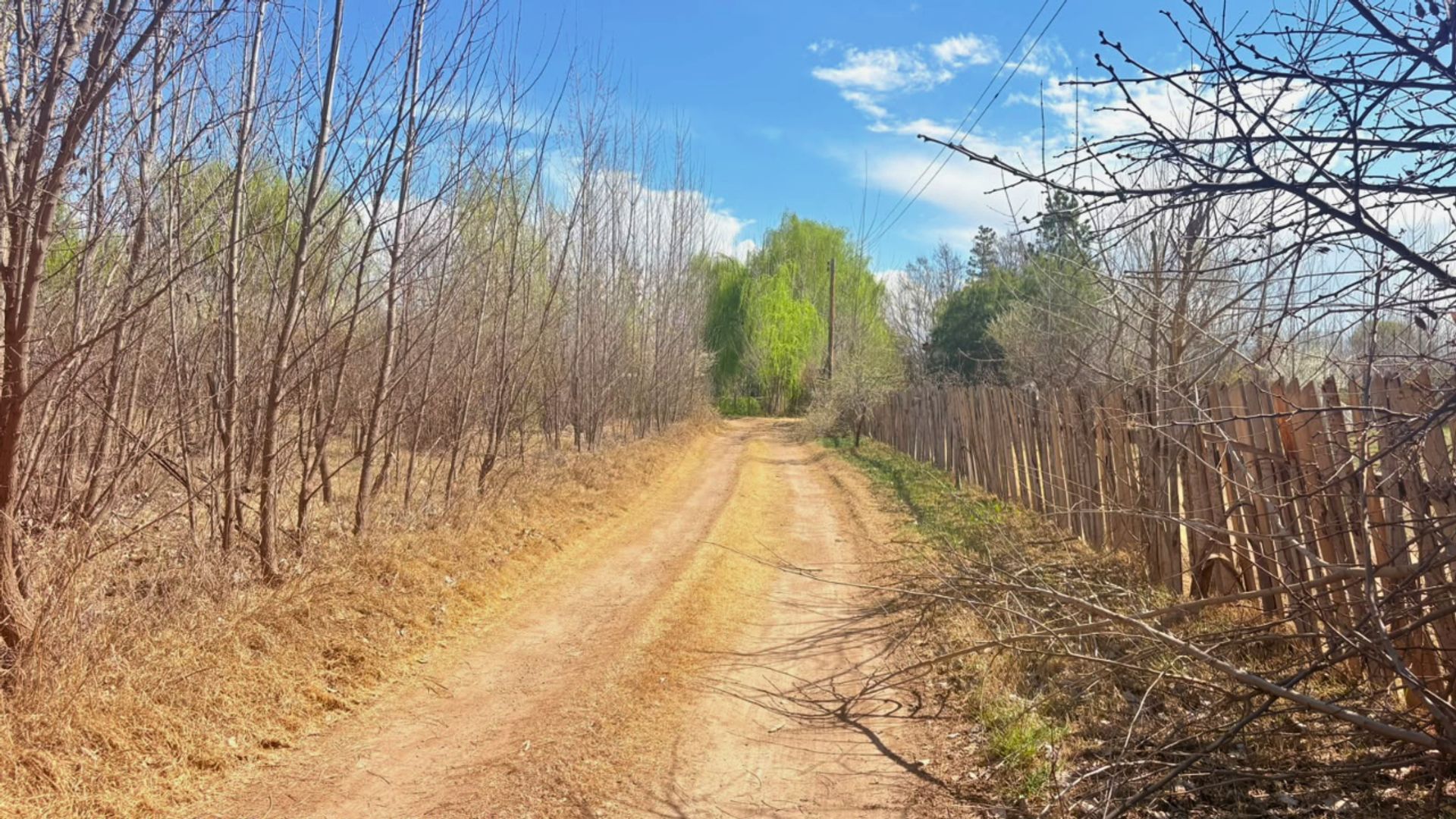 Tunuyan Calle Lemos 700