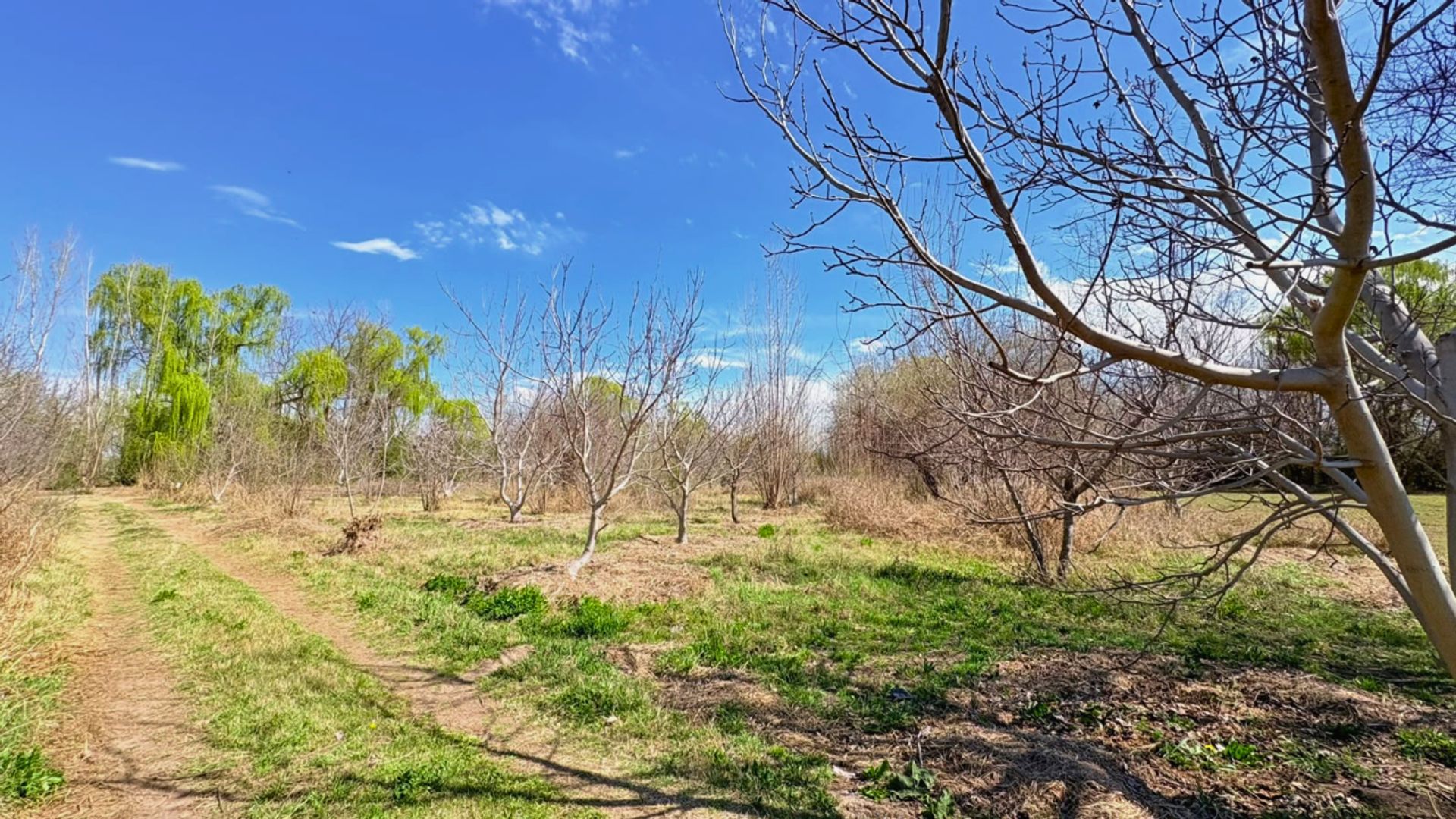 Tunuyan Calle Lemos 700
