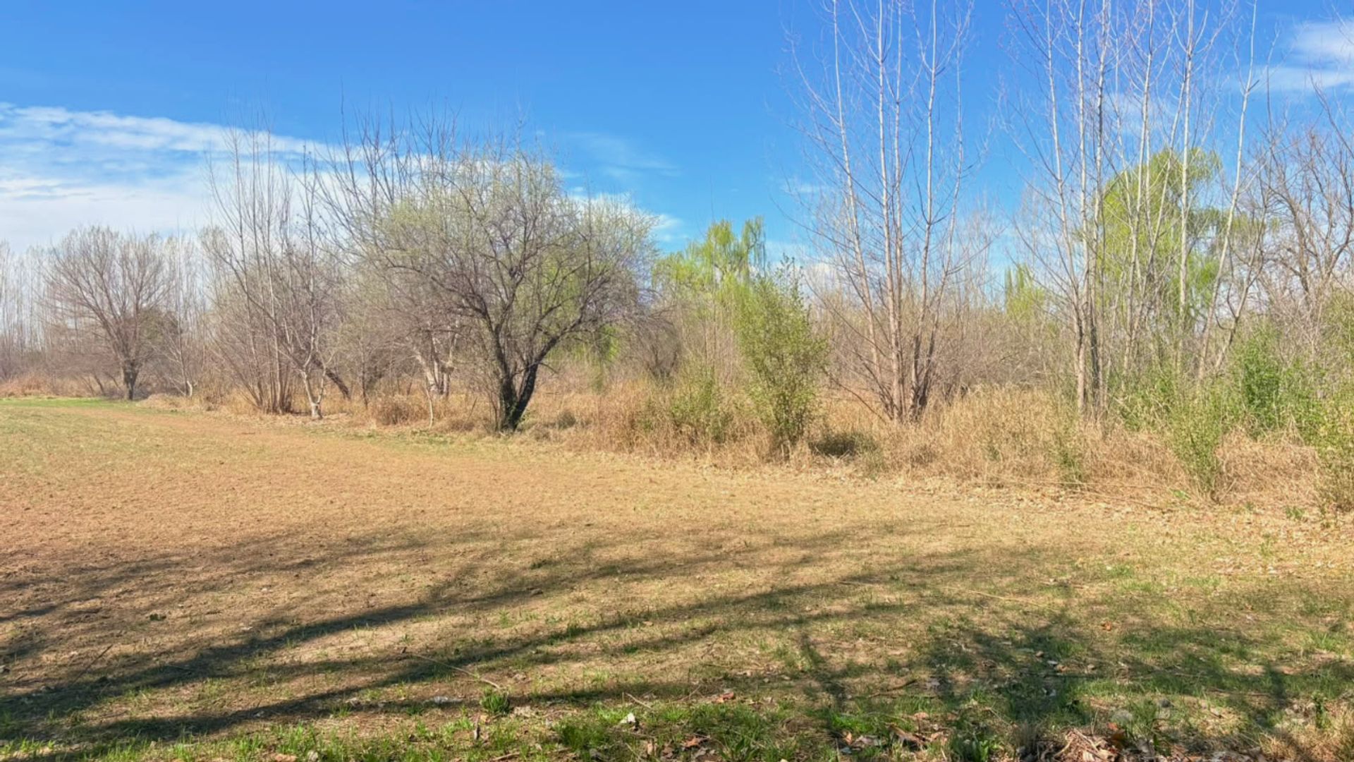 Lote en Venta en Tunuyan, Mendoza
