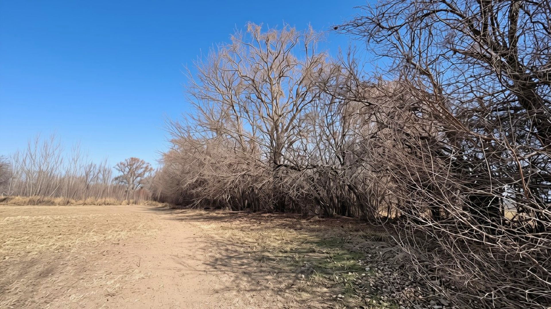 Lote en Venta en Tunuyan, Mendoza