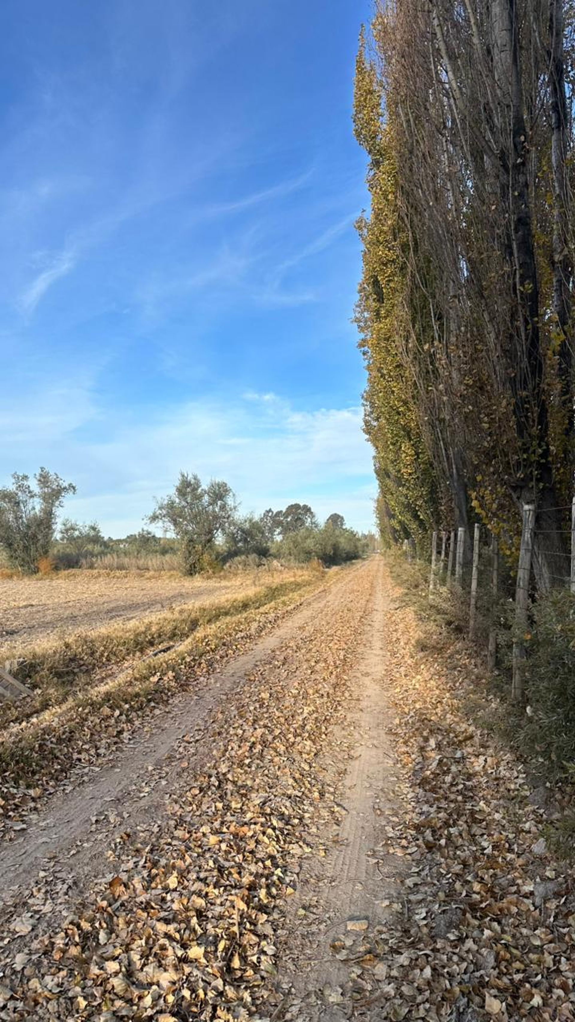 Lote en Venta en Maipu, Mendoza