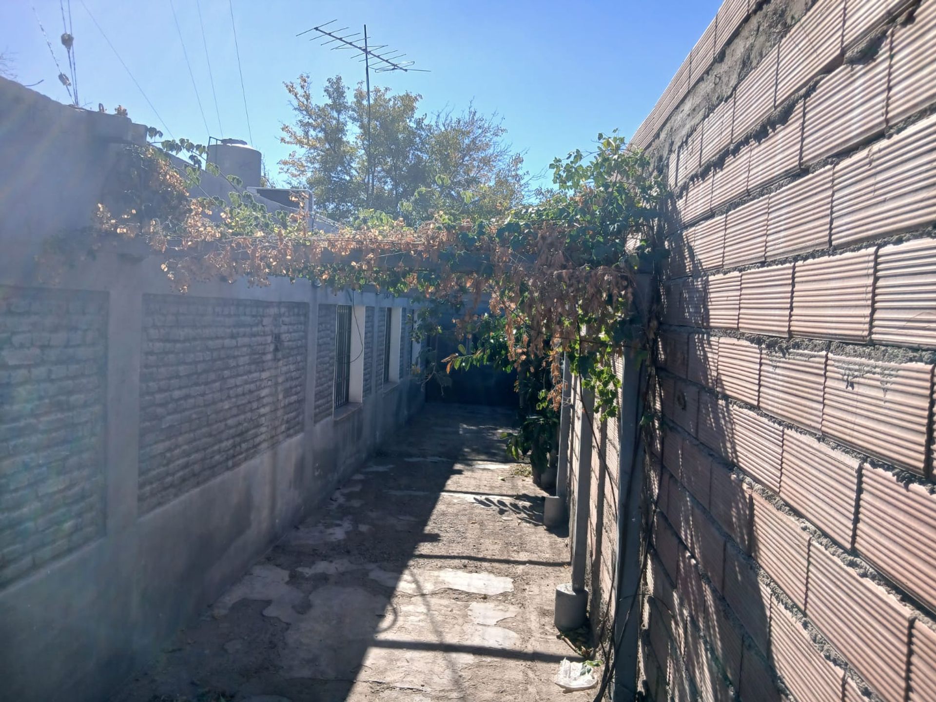Casa en Alquiler en Chimbas, San Juan